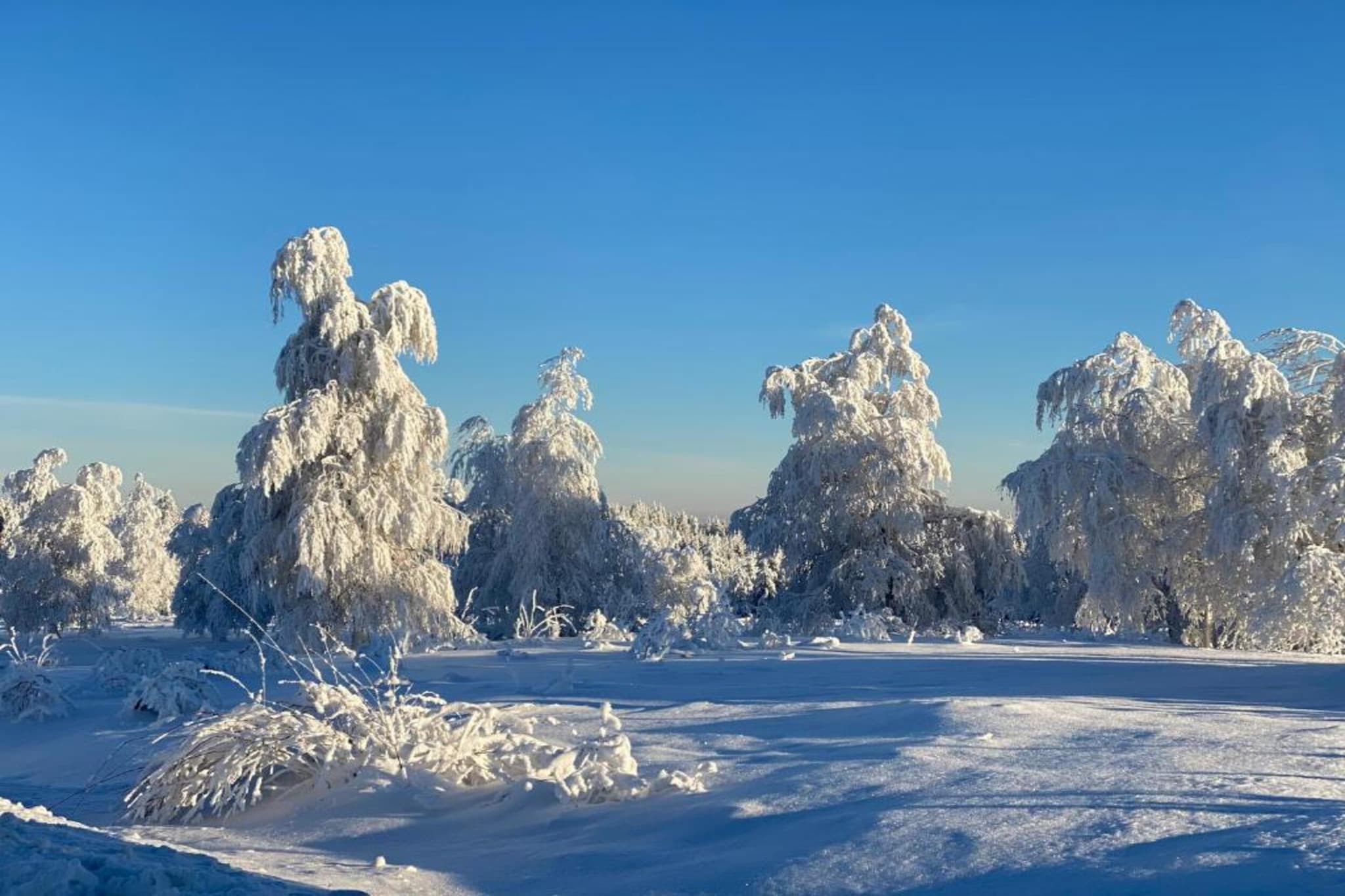 Kniebis-Gebiet Winter 20 km