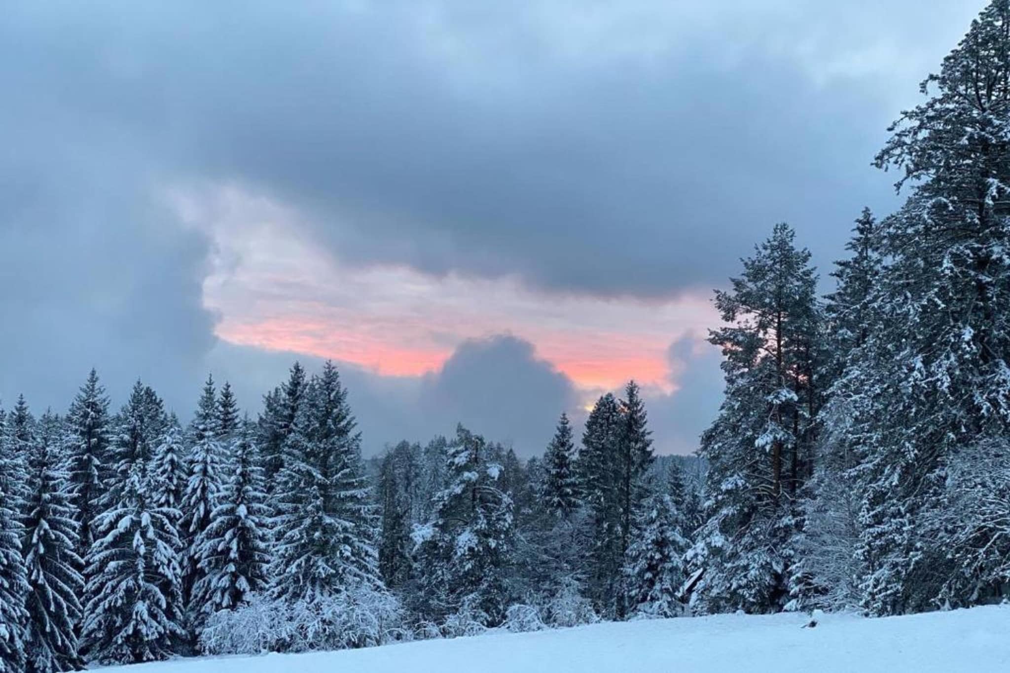 Kniebis-Gebiet Winter 20 km