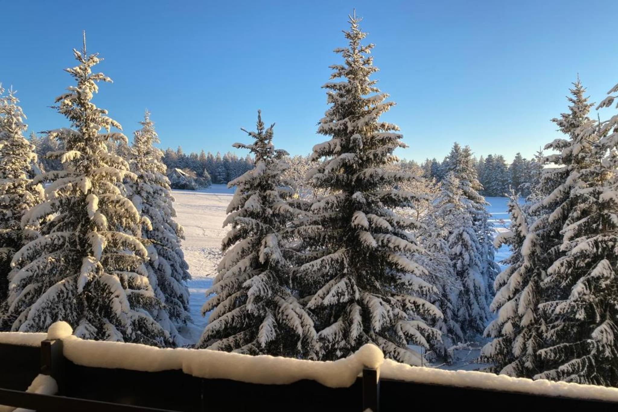 Kniebis-Gebiet Winter 20 km