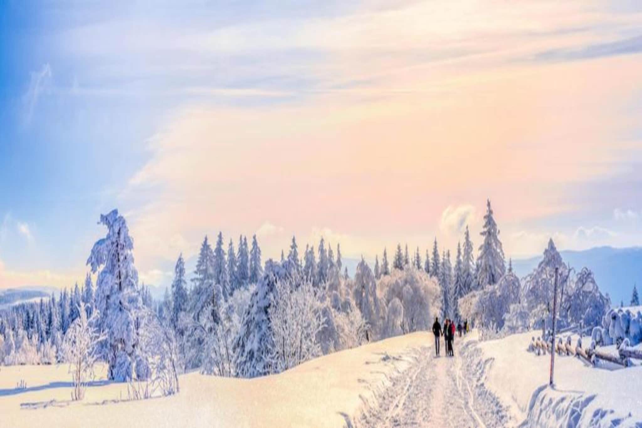 Kniebis-Gebiet Winter 20 km
