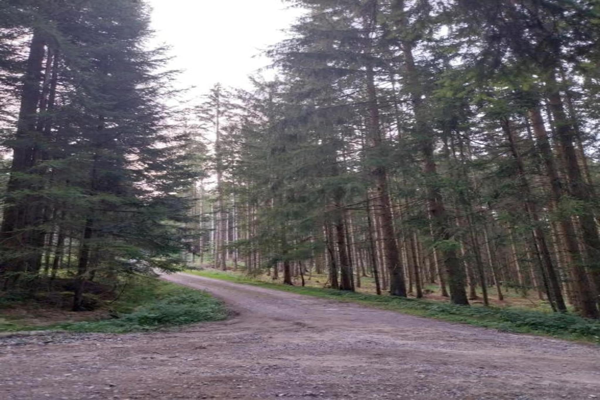 Vakantiehuis met sauna en whirlpool-Gebieden zomer 20km