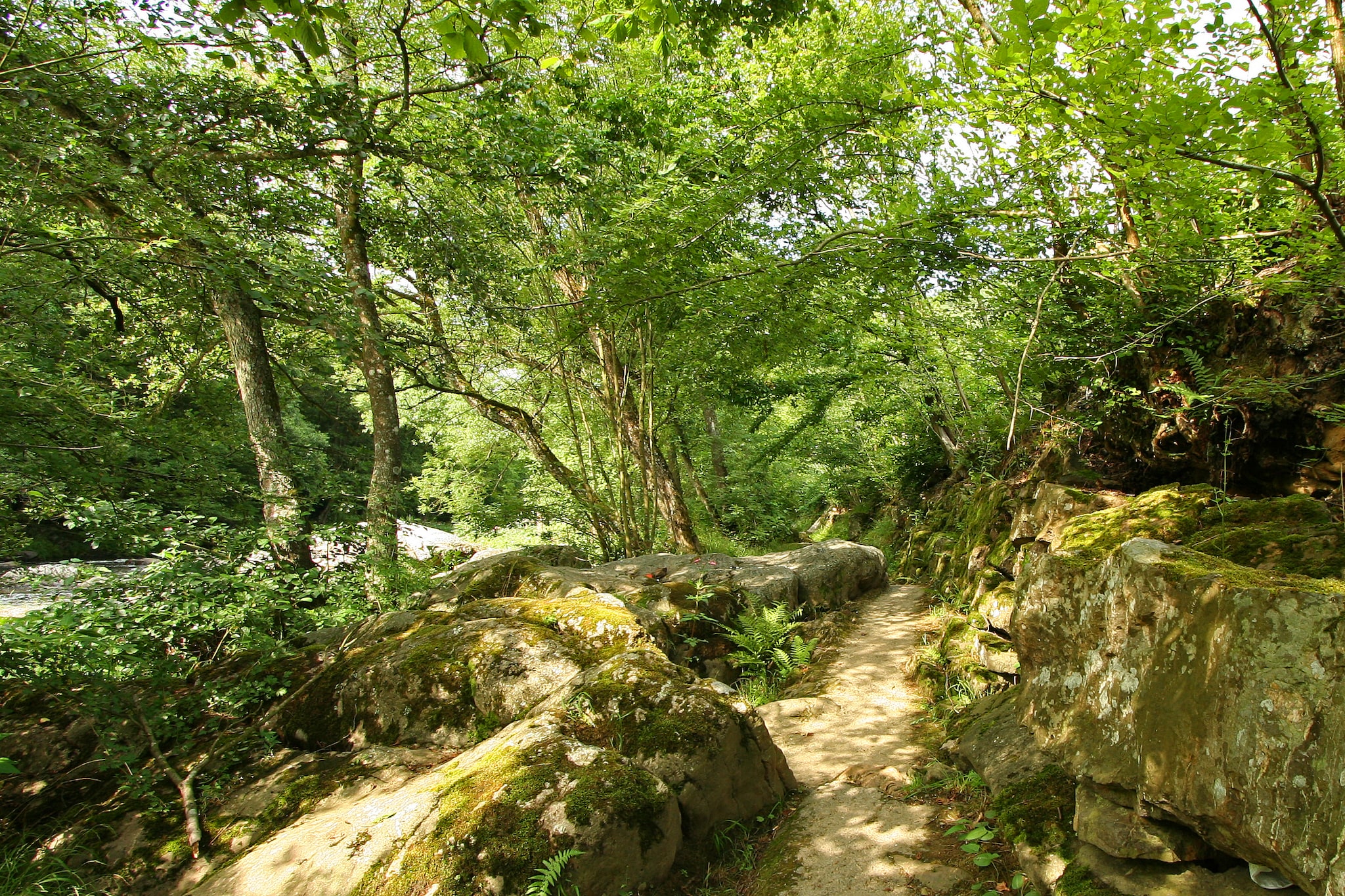 La Cabane de Jade-Gebieden zomer 5km