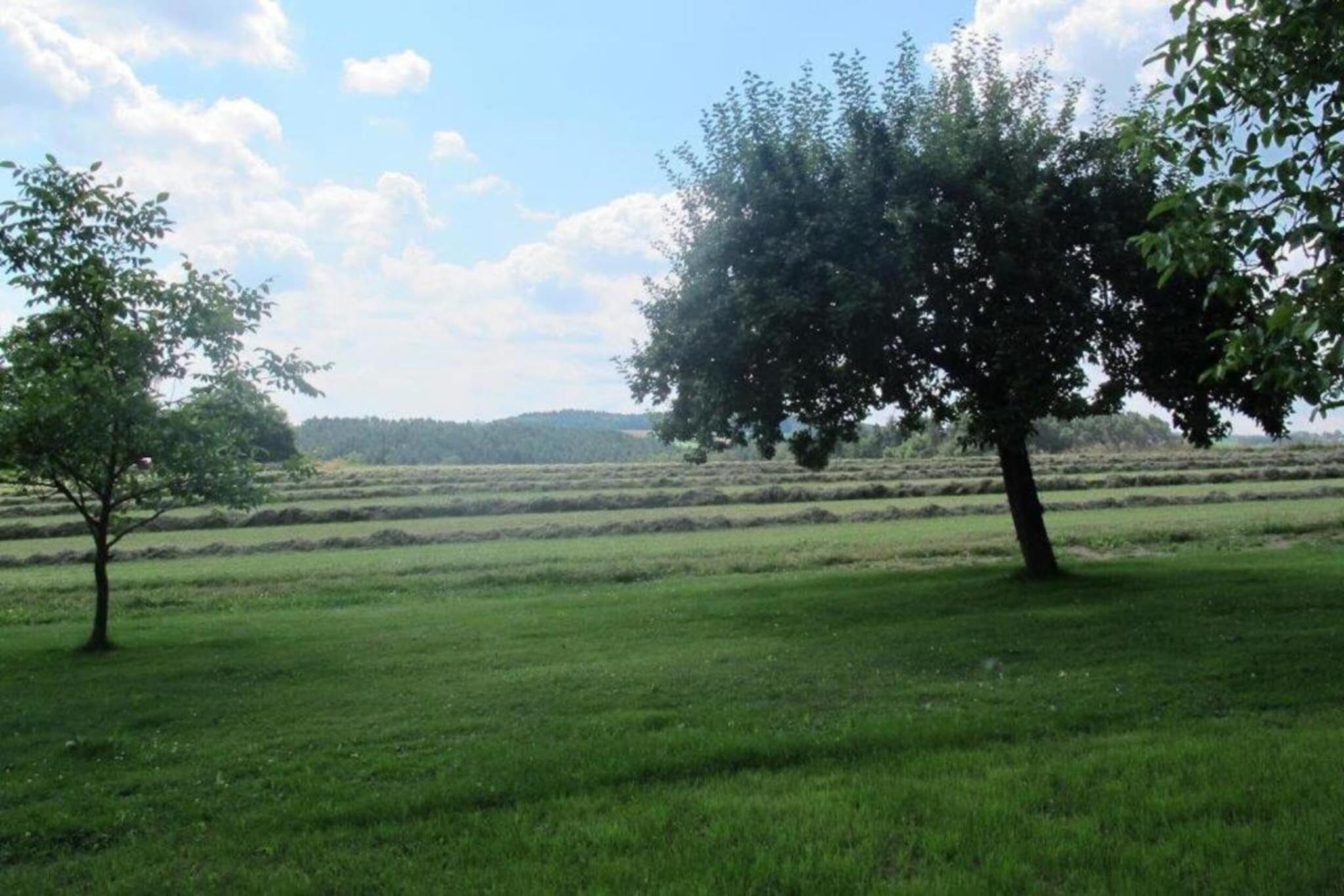Morgensonne-Gebieden zomer 20km