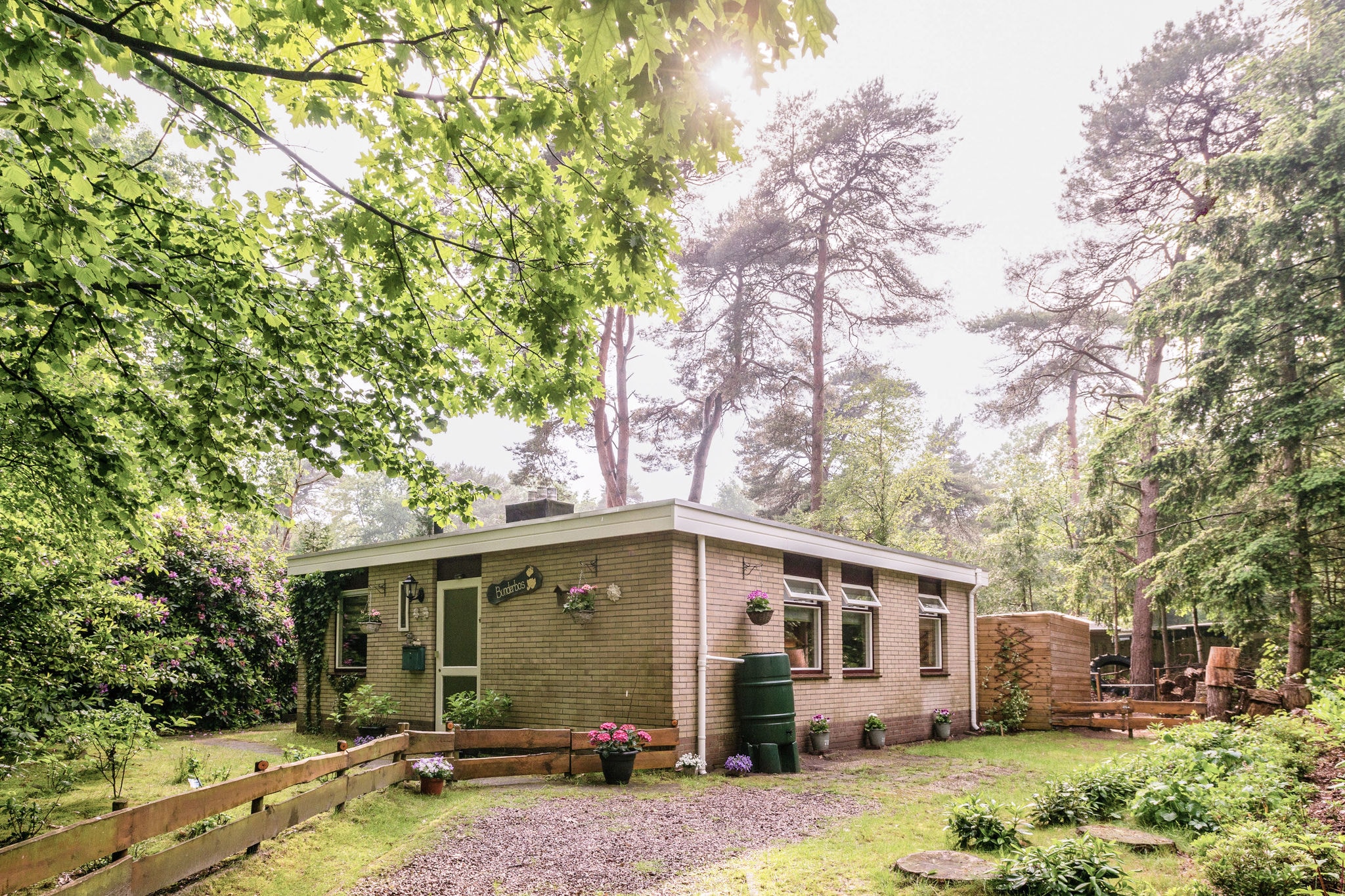 Maison de vacances meublée à Overijssel près de la forêt
