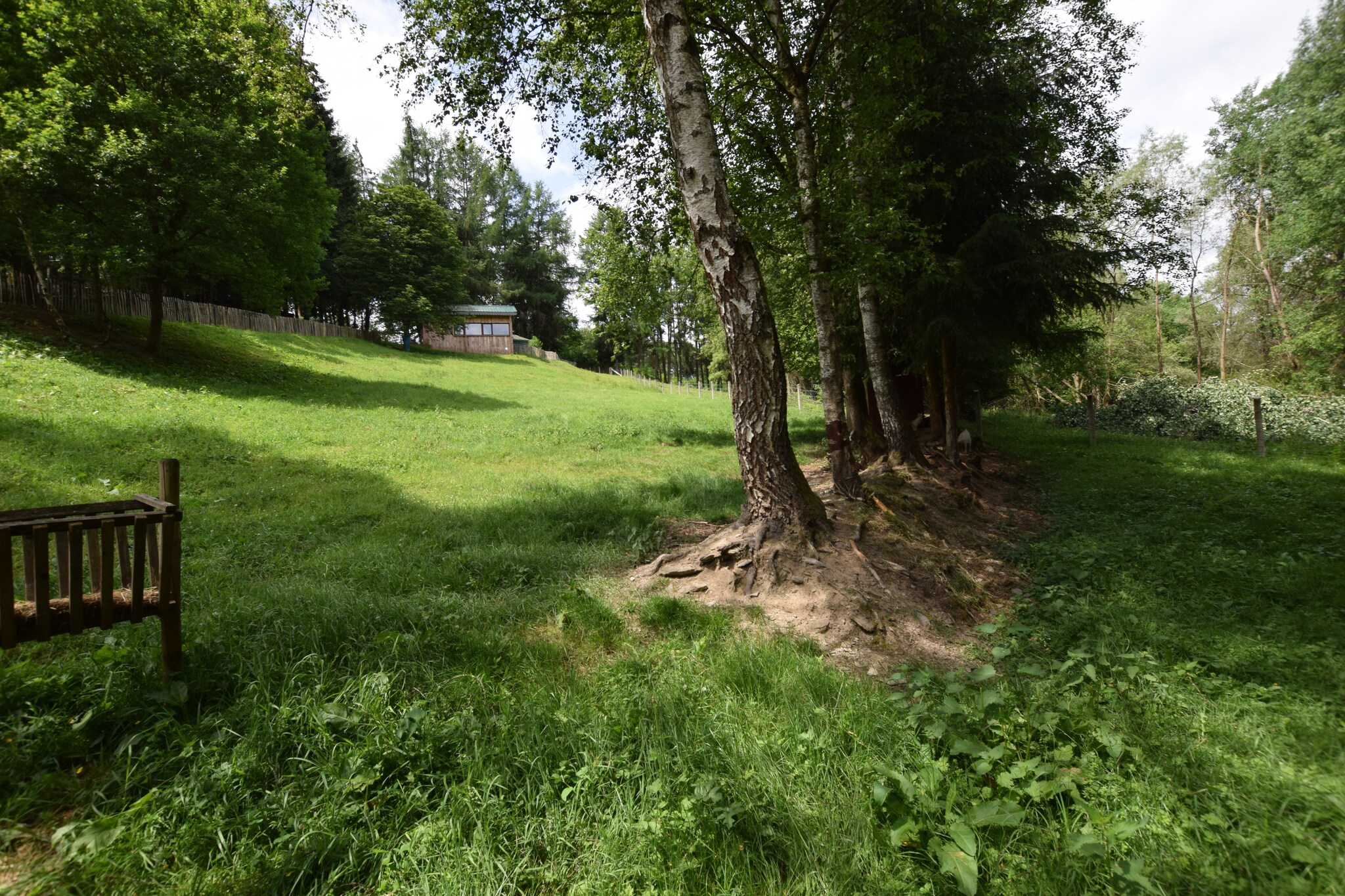 Vakantiehuis Houffalize max. 4 personen 3 slaapkamers #32