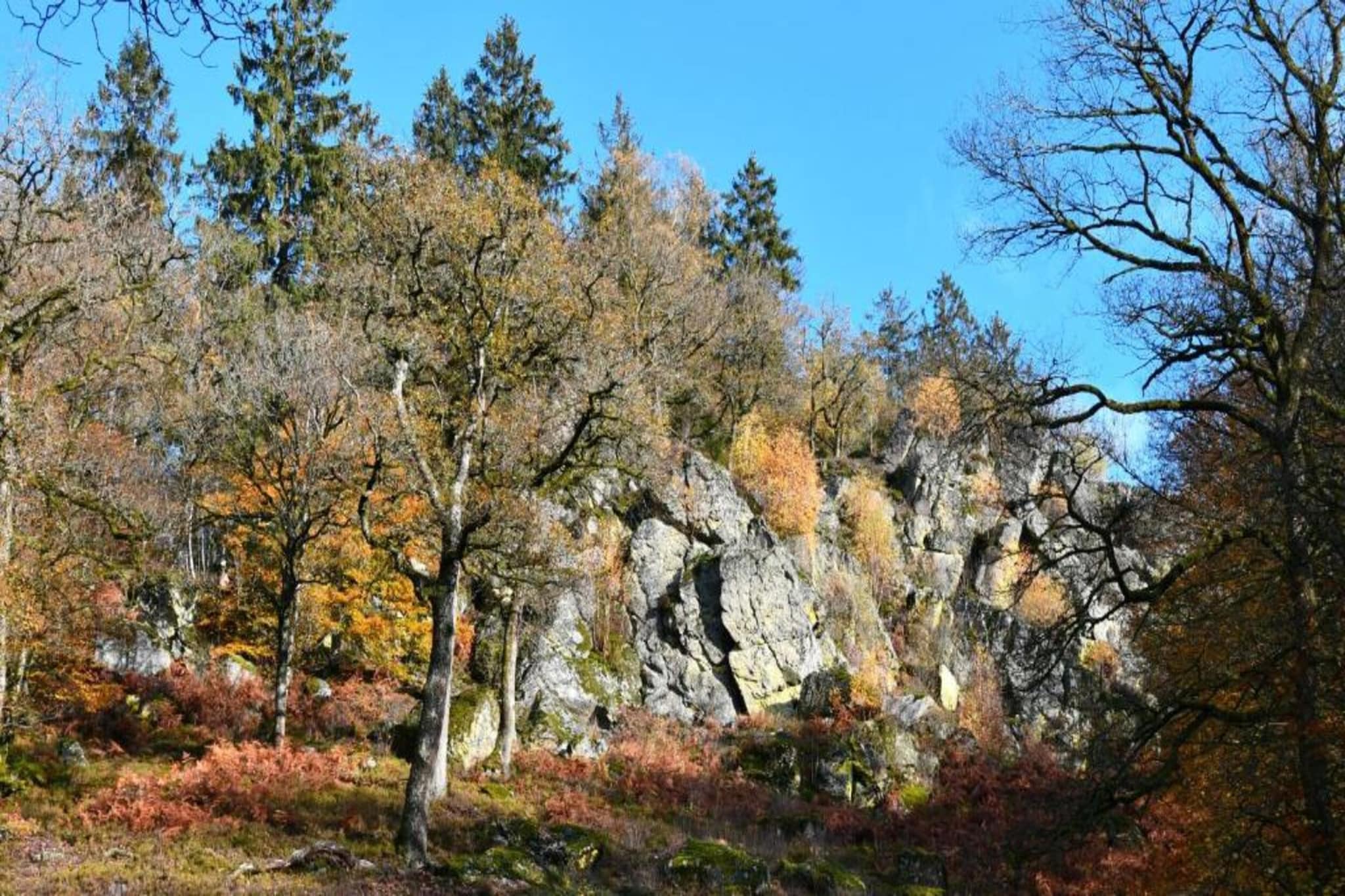 Alouette-Areas summer 20km