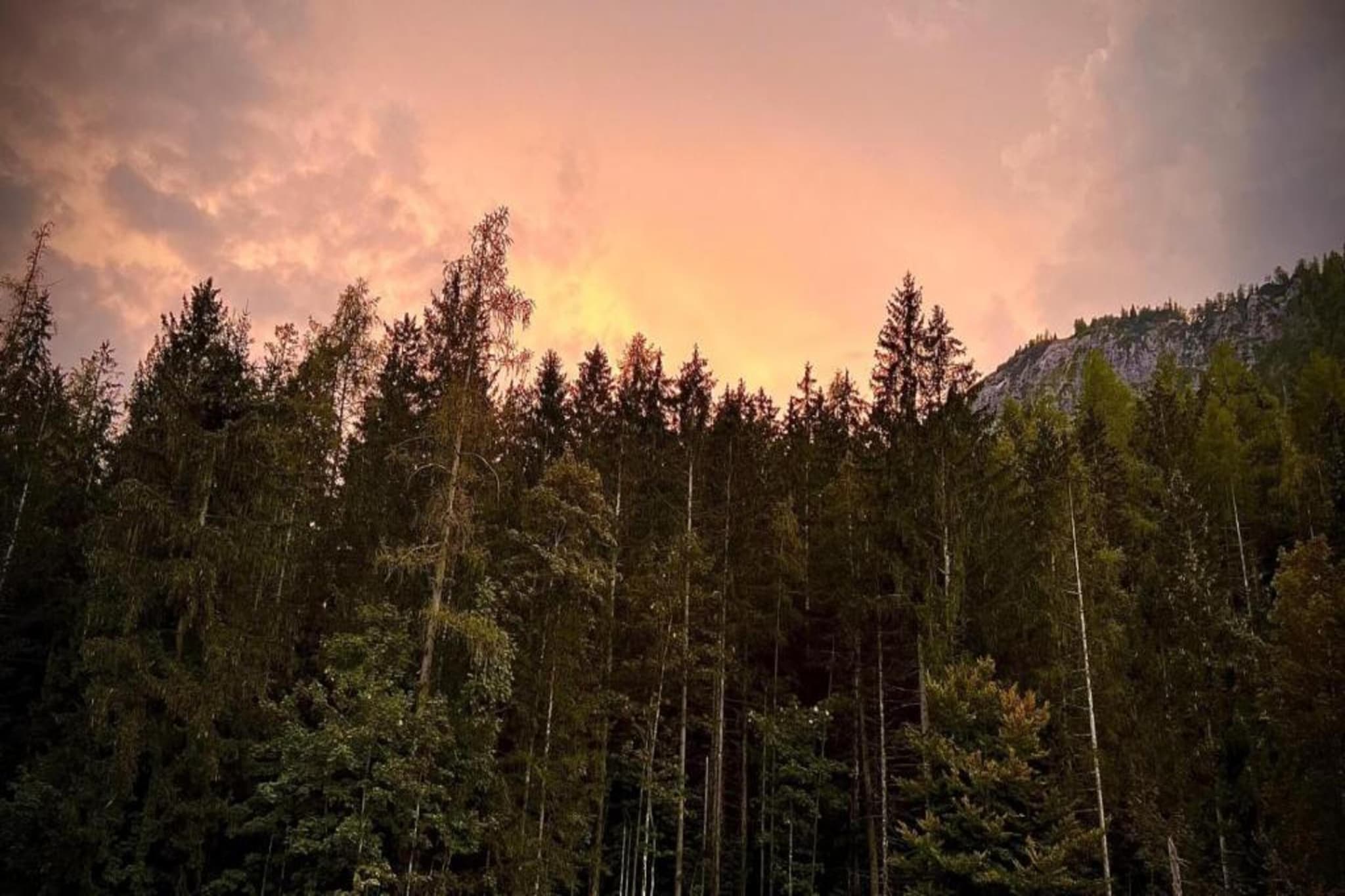 Schönau am Königssee-Gebieden zomer 20km