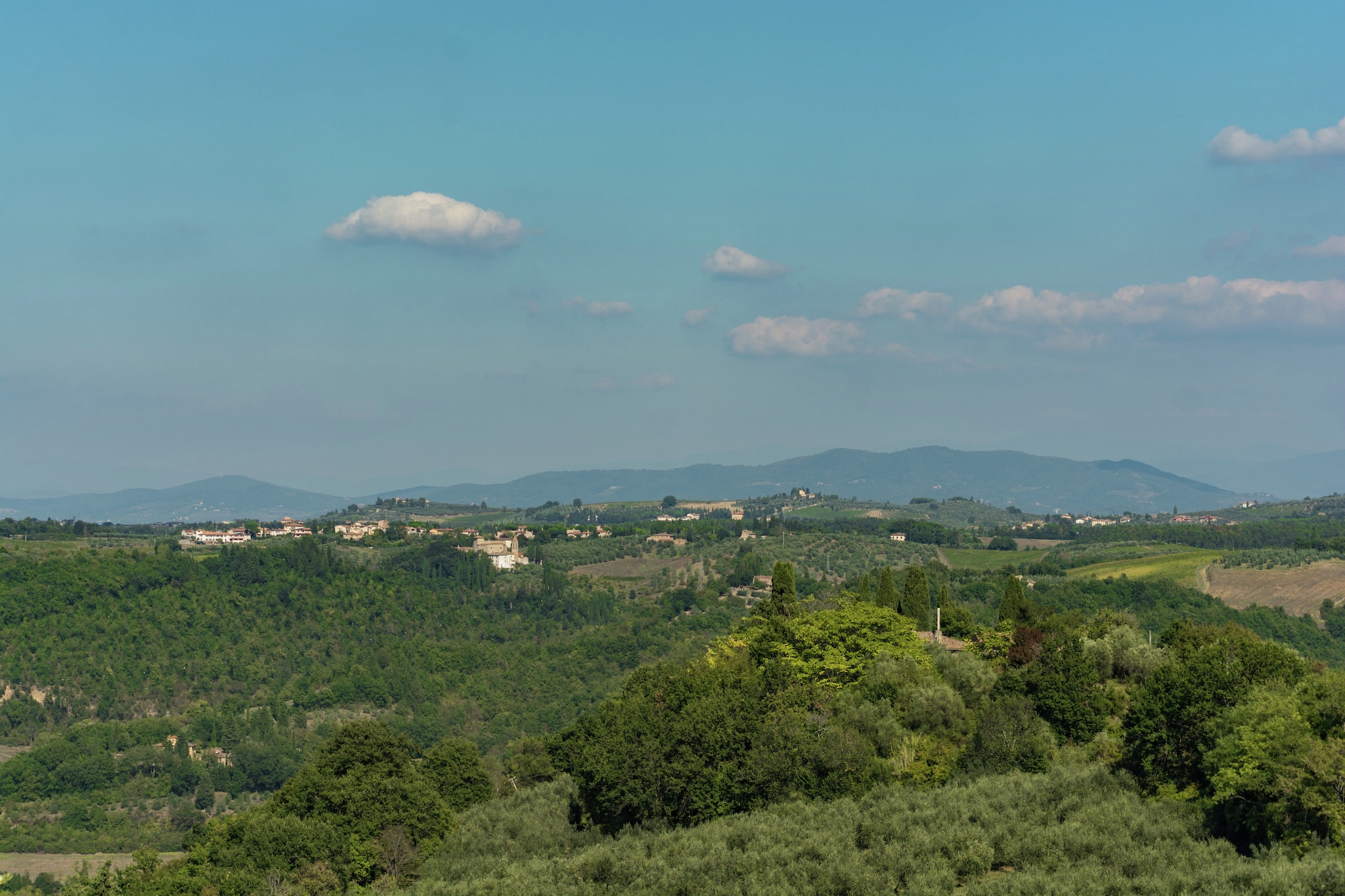 Il Querceto Prima-Gebieden zomer 1km