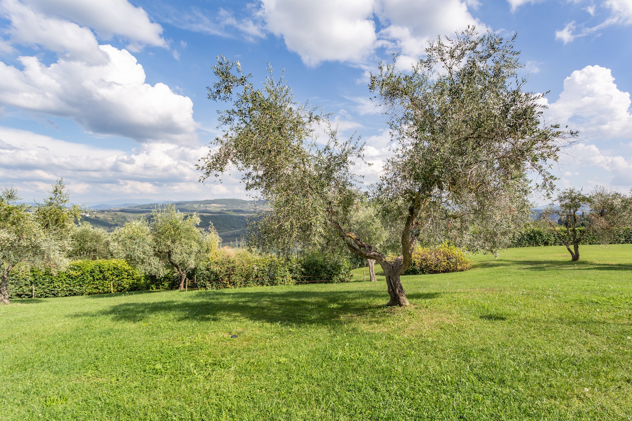 Il Querceto Prima-Tuinen zomer