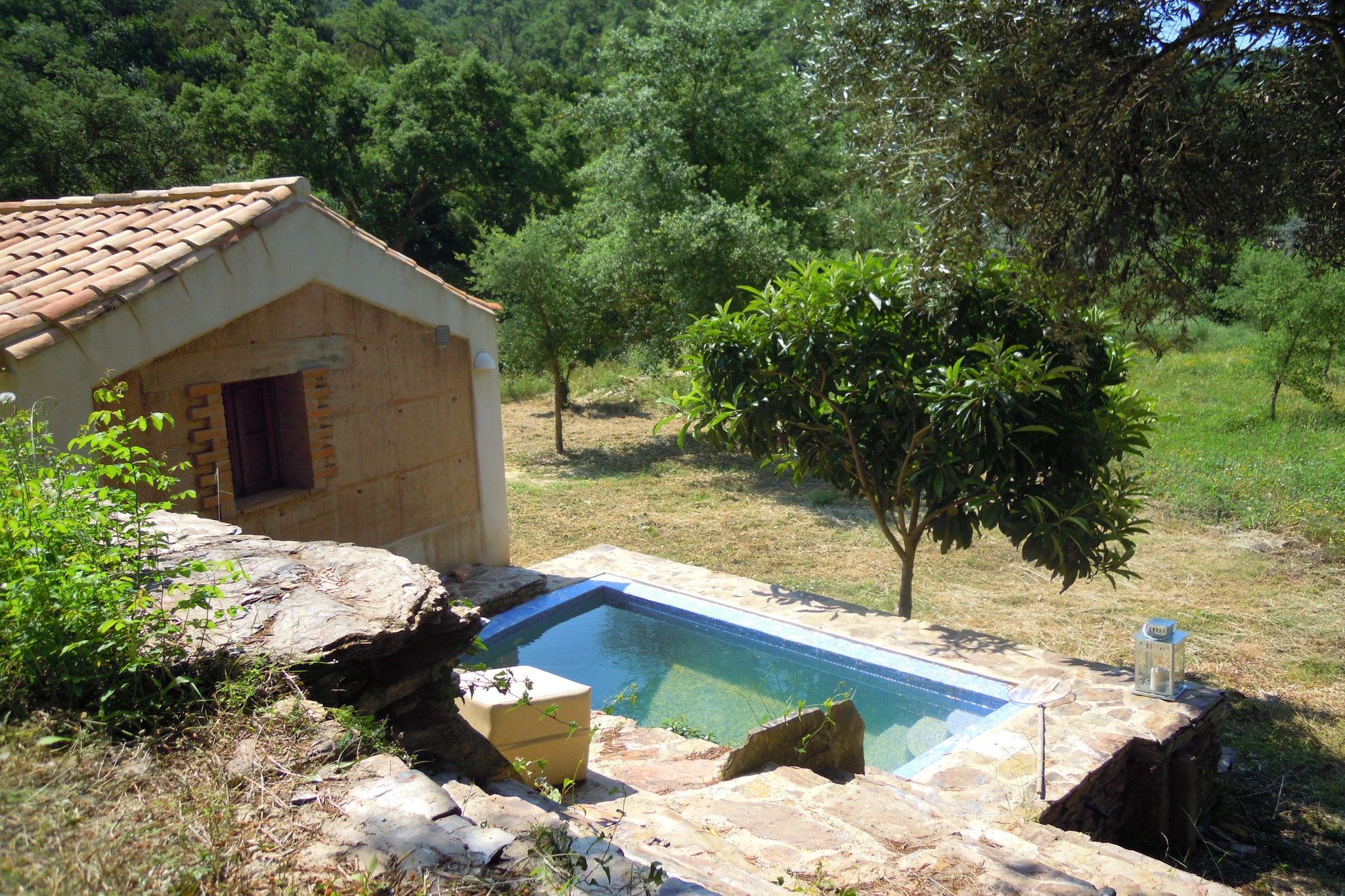 Exterior Summer