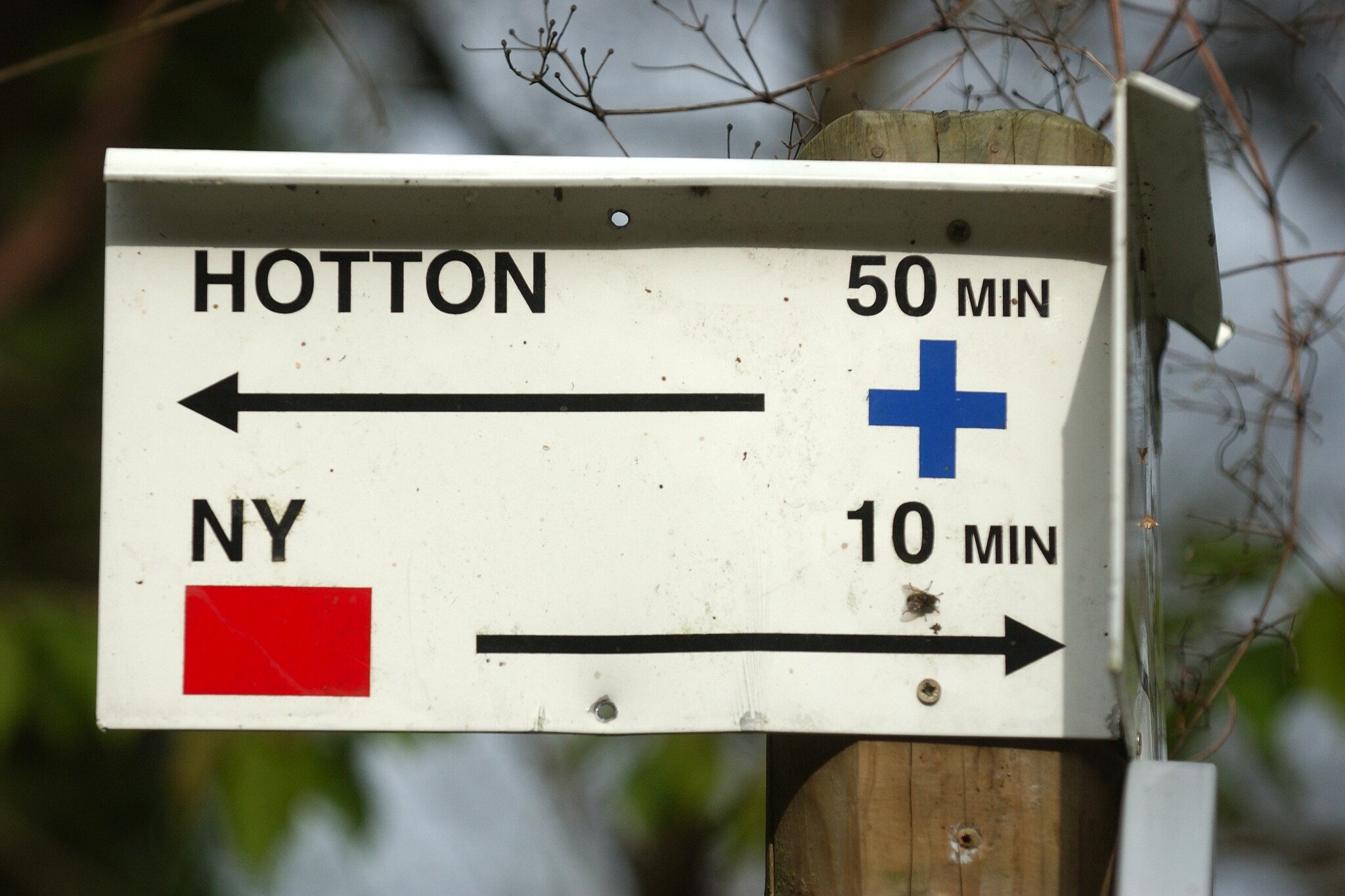 Vakantiehuis Hotton max. 56 personen 1 huisdier 8 slaapkamers #20