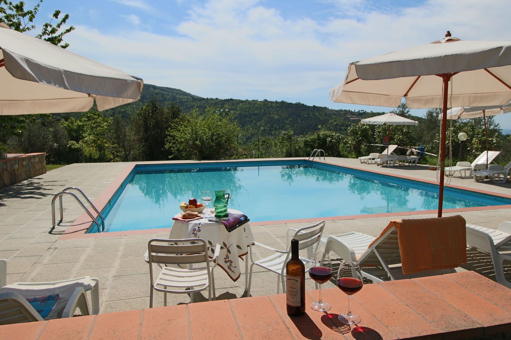 Landelijke agritoerisme met panoramisch zwembad omgeven door wijngaarden