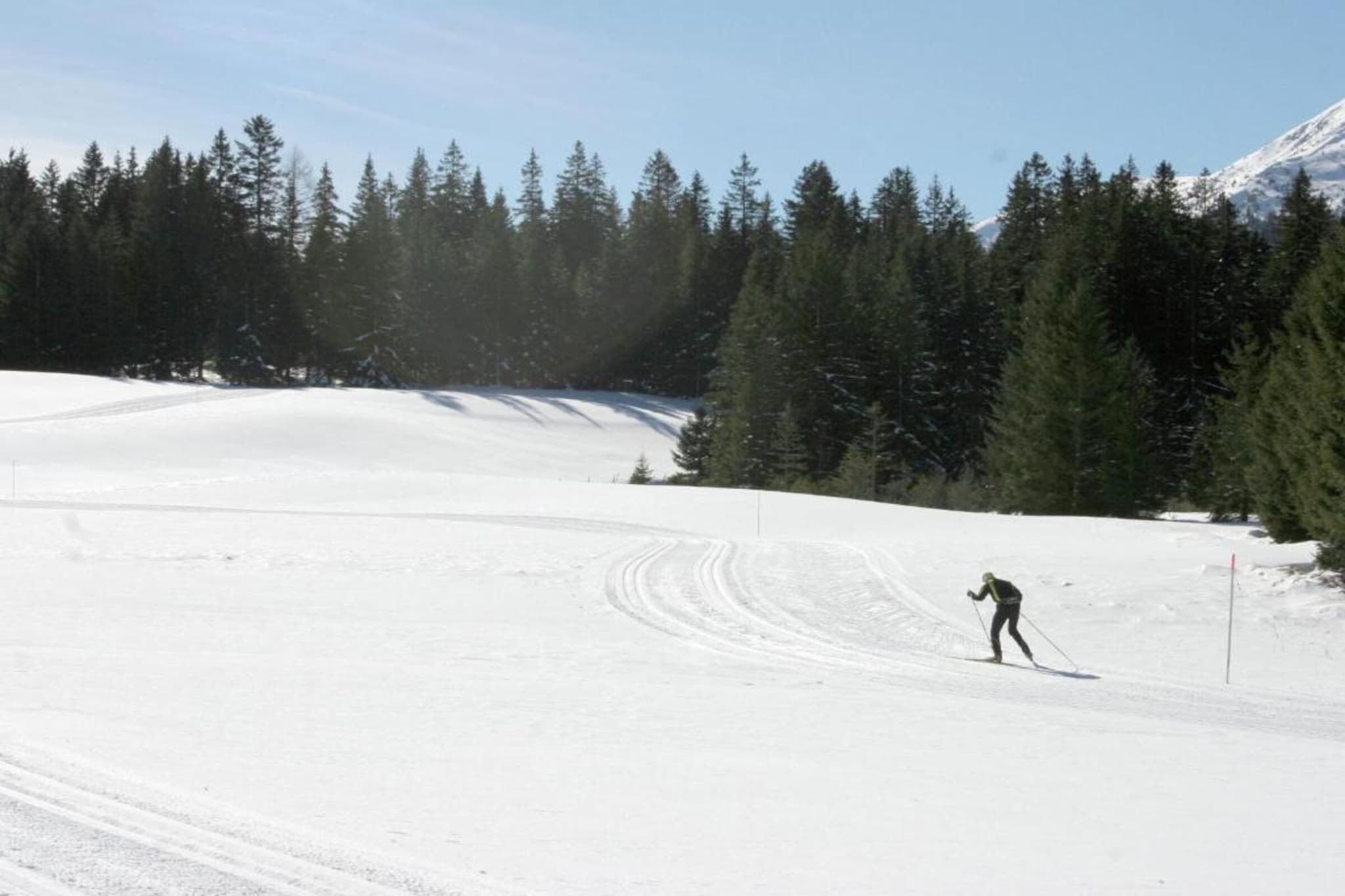 Chalet Almdorf 8-Gebied winter 20km