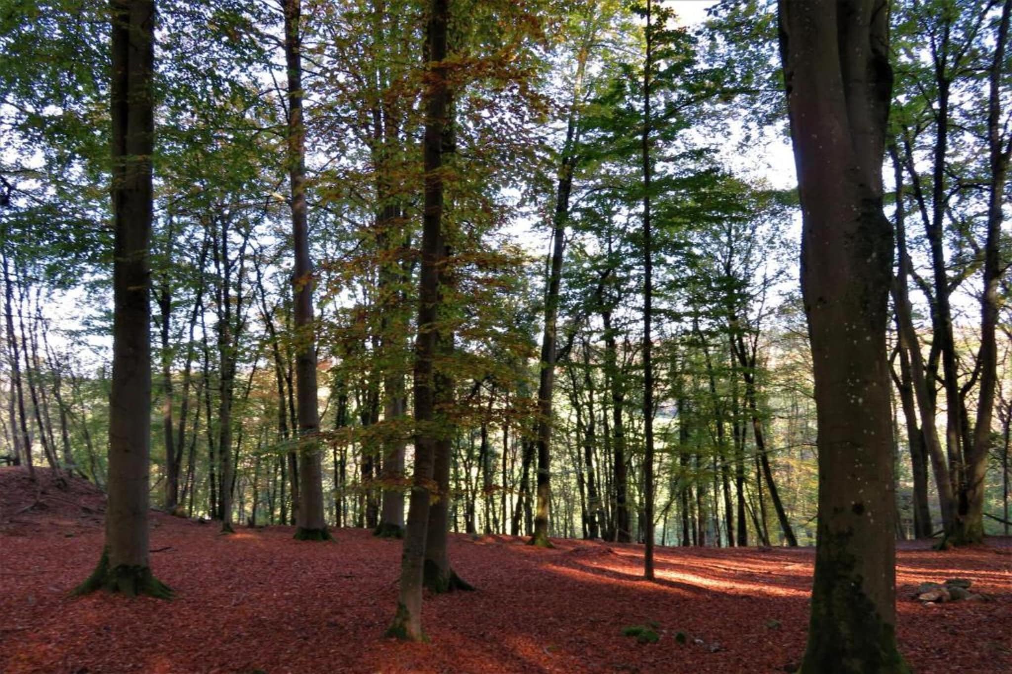 Li Vêrt Veschau-Areas summer 20km