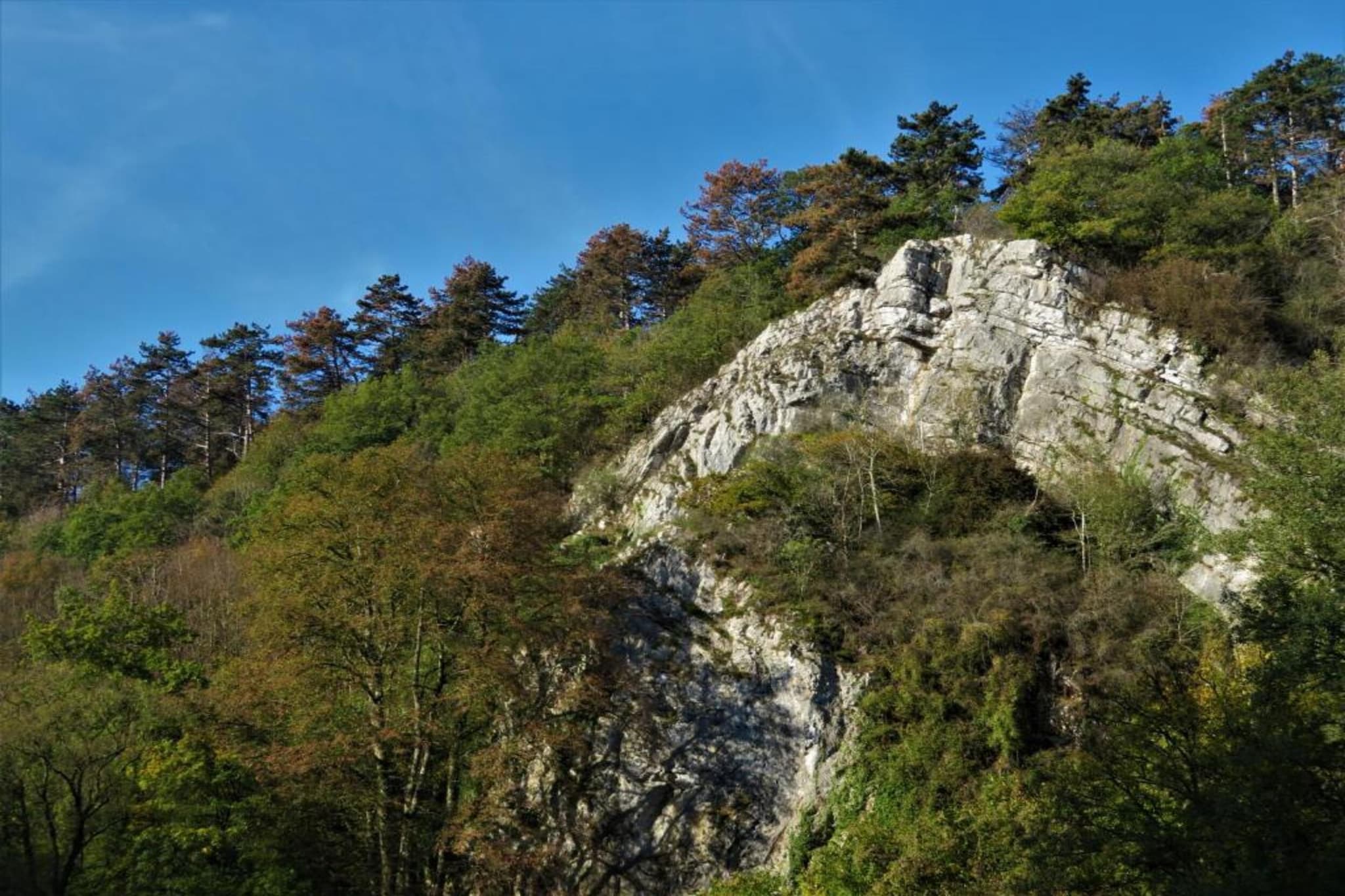 Li Vêrt Veschau-Areas summer 20km