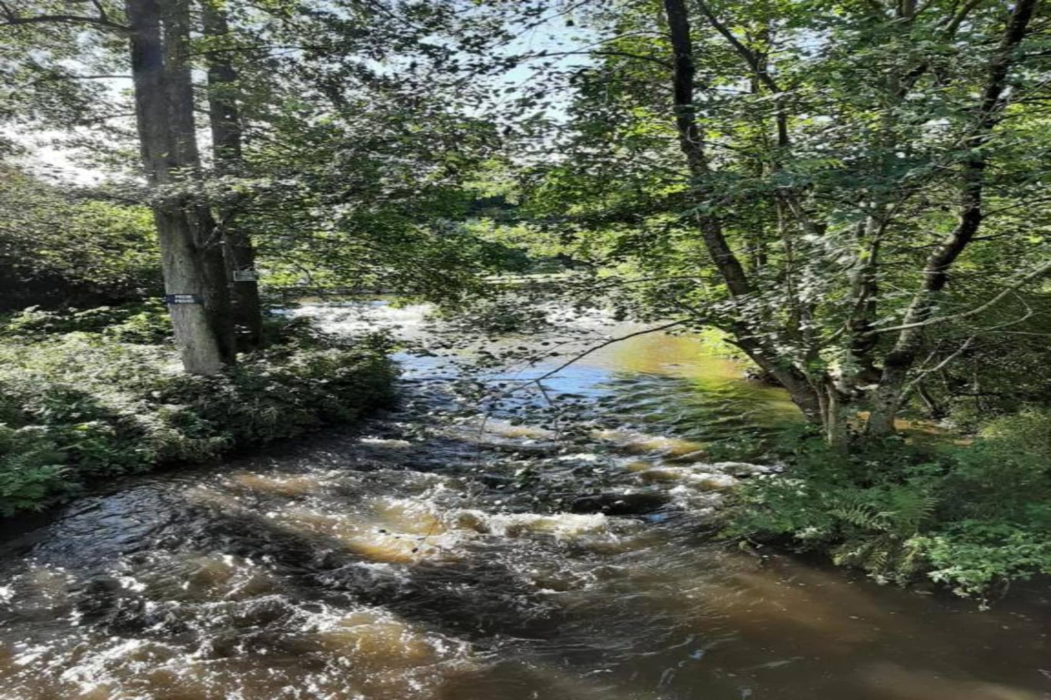 Li Vêrt Veschau-Areas summer 20km
