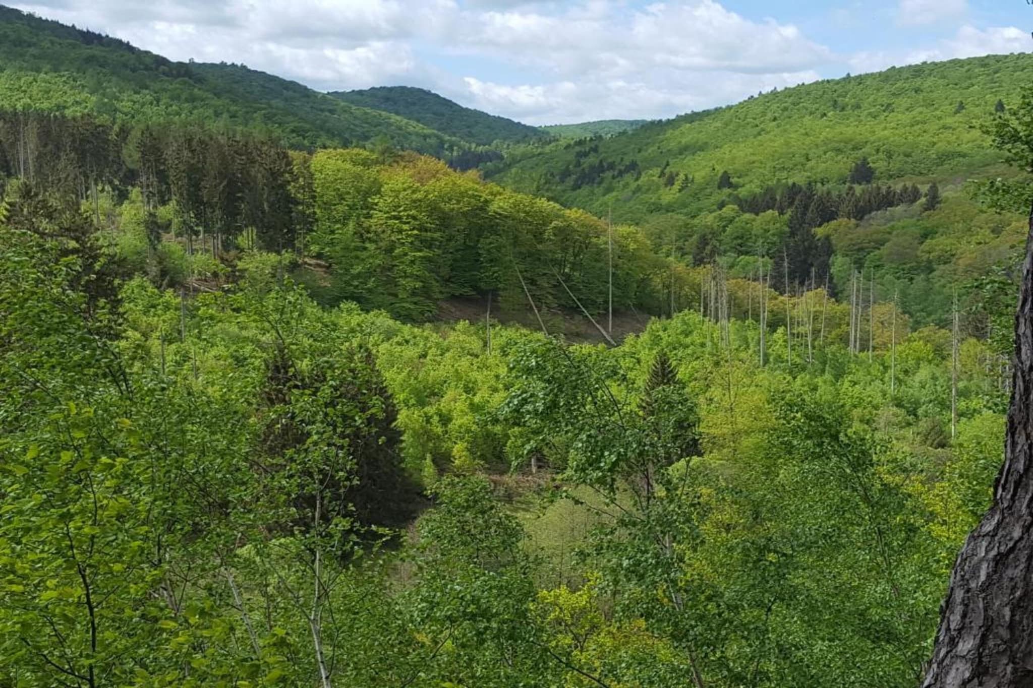 Am Sternberg-Gebieden zomer 20km