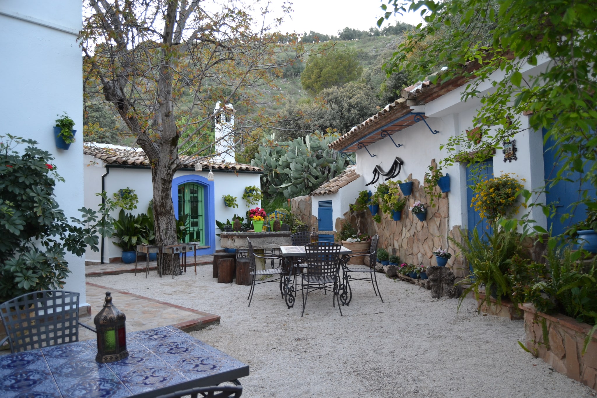 El Pajar-Tuin winter