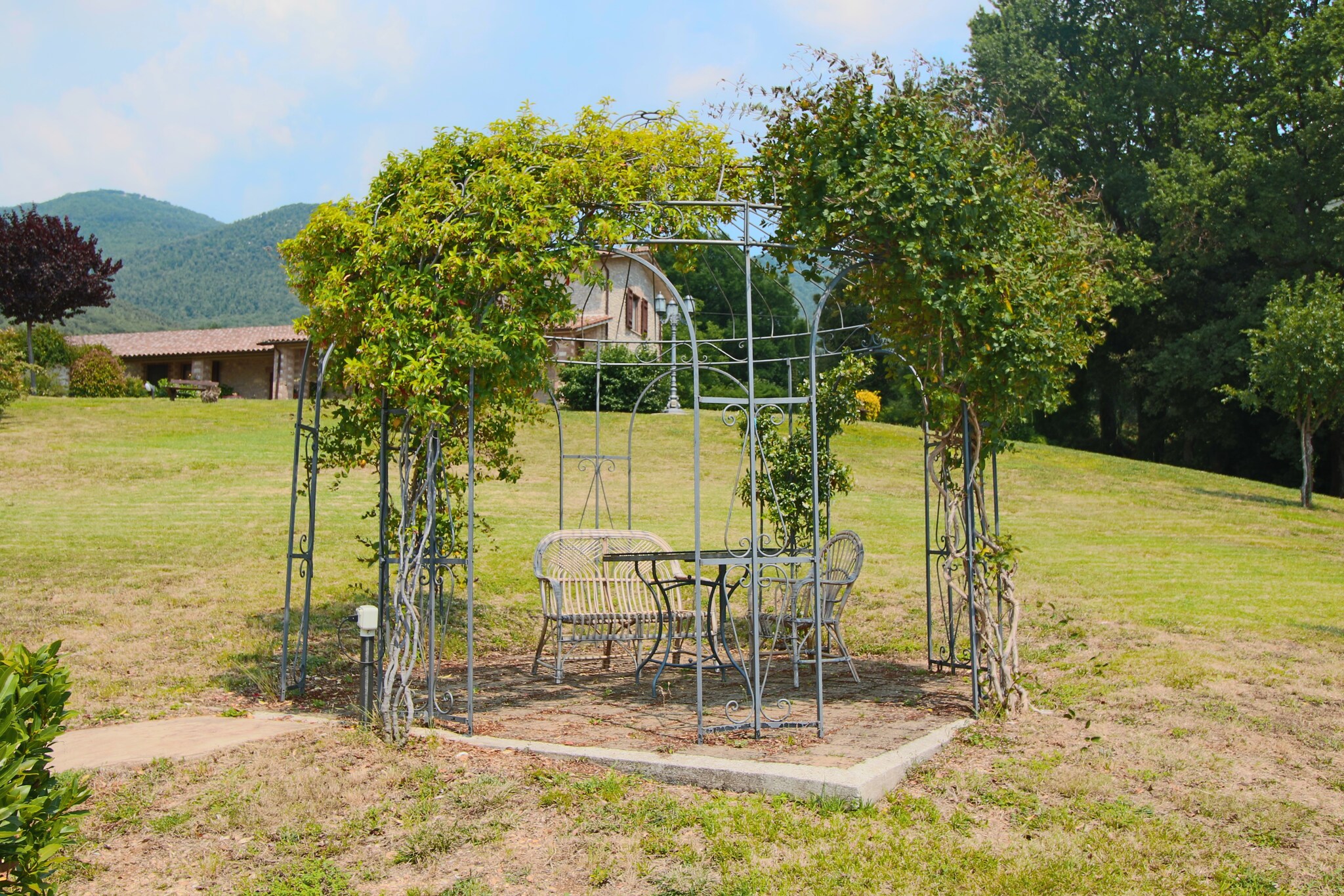 Terrace Balcony