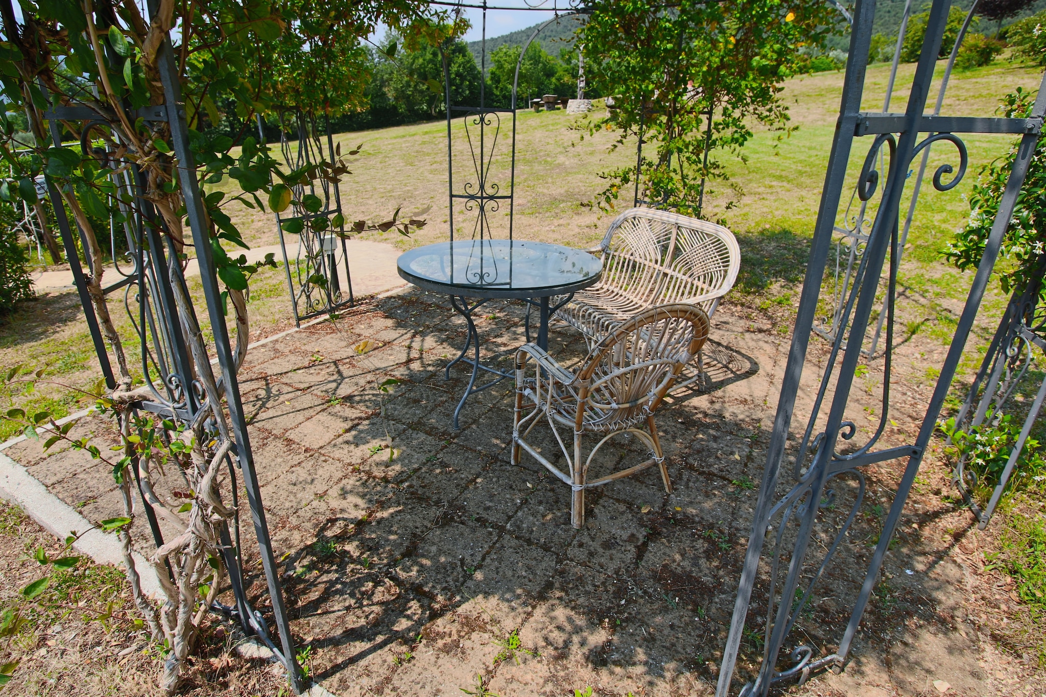 Terrace Balcony