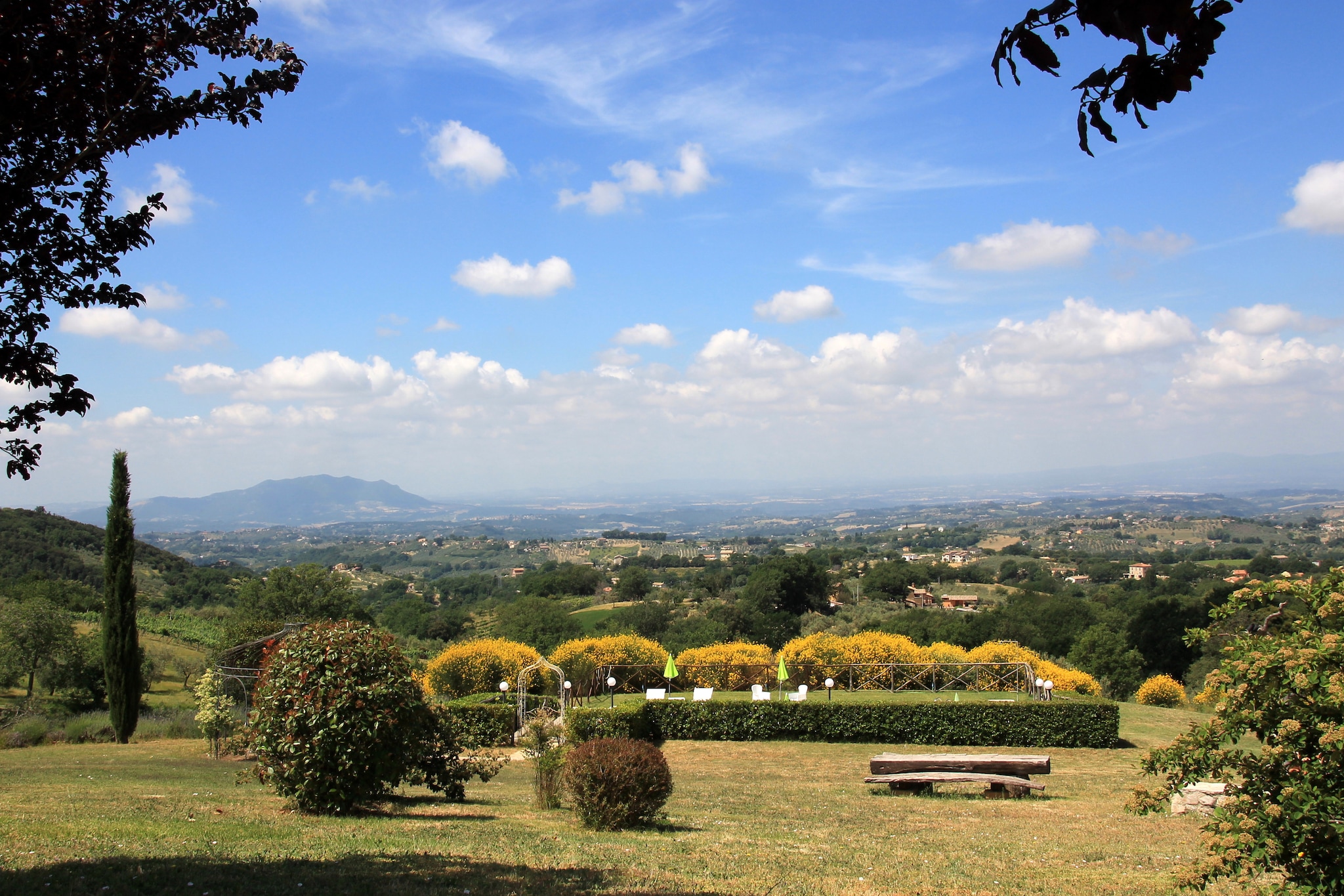 View Summer