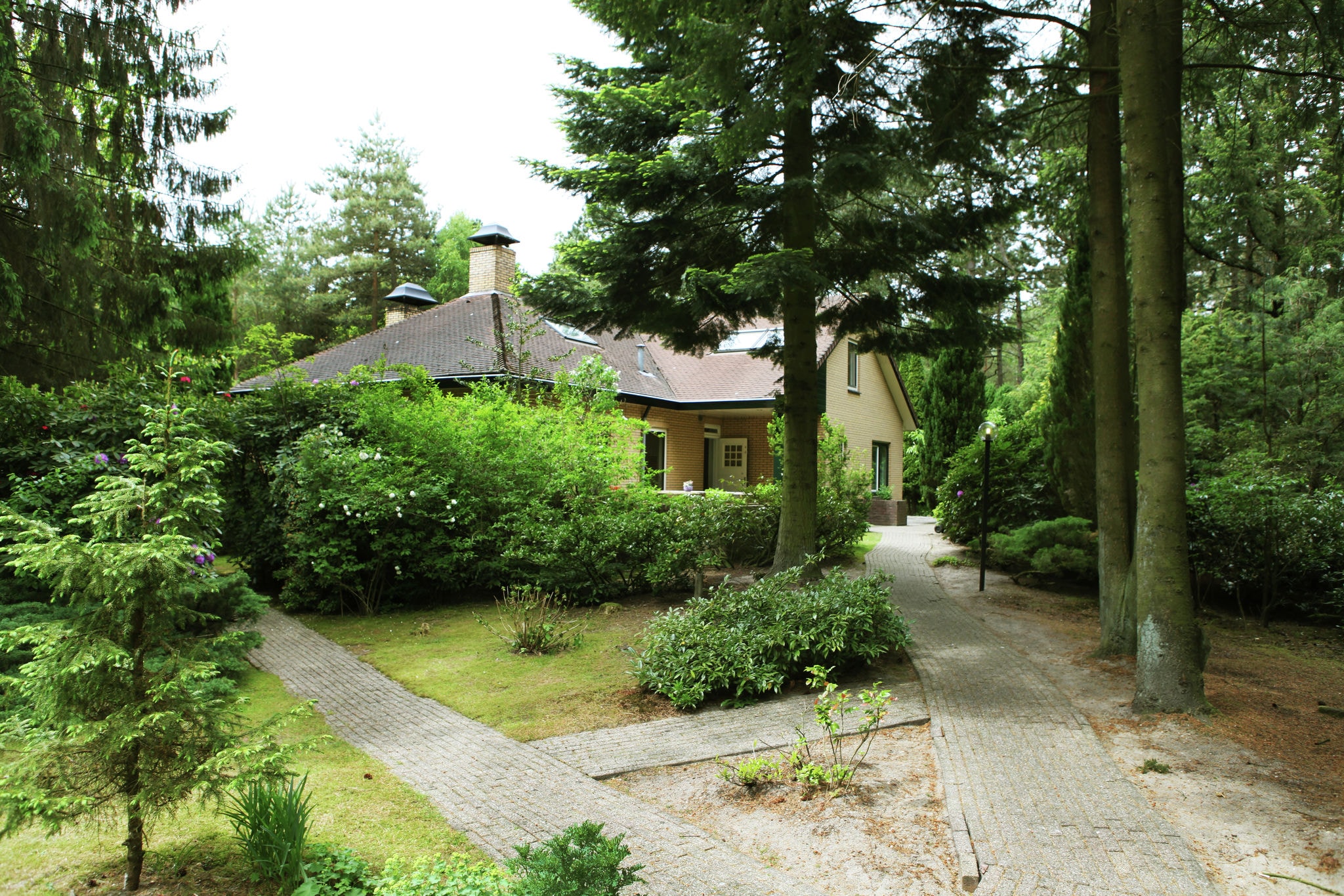 Cosy villa in the middle of woods in Doornspijk
