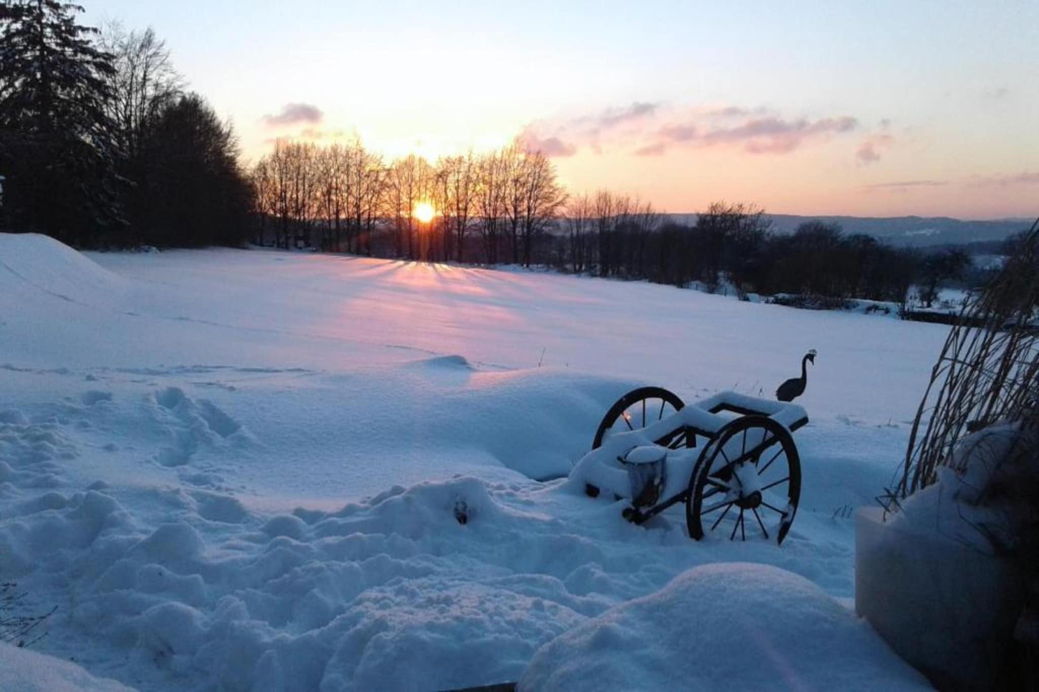 A la lisière de la forêt-Gebied winter 20km
