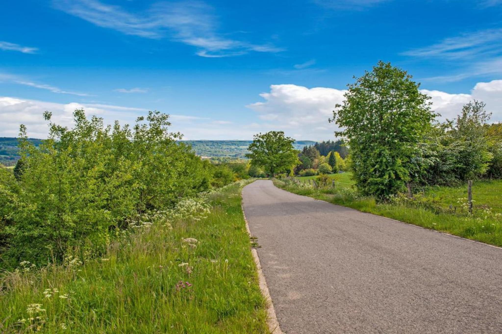 A la lisière de la forêt-Gebieden zomer 20km