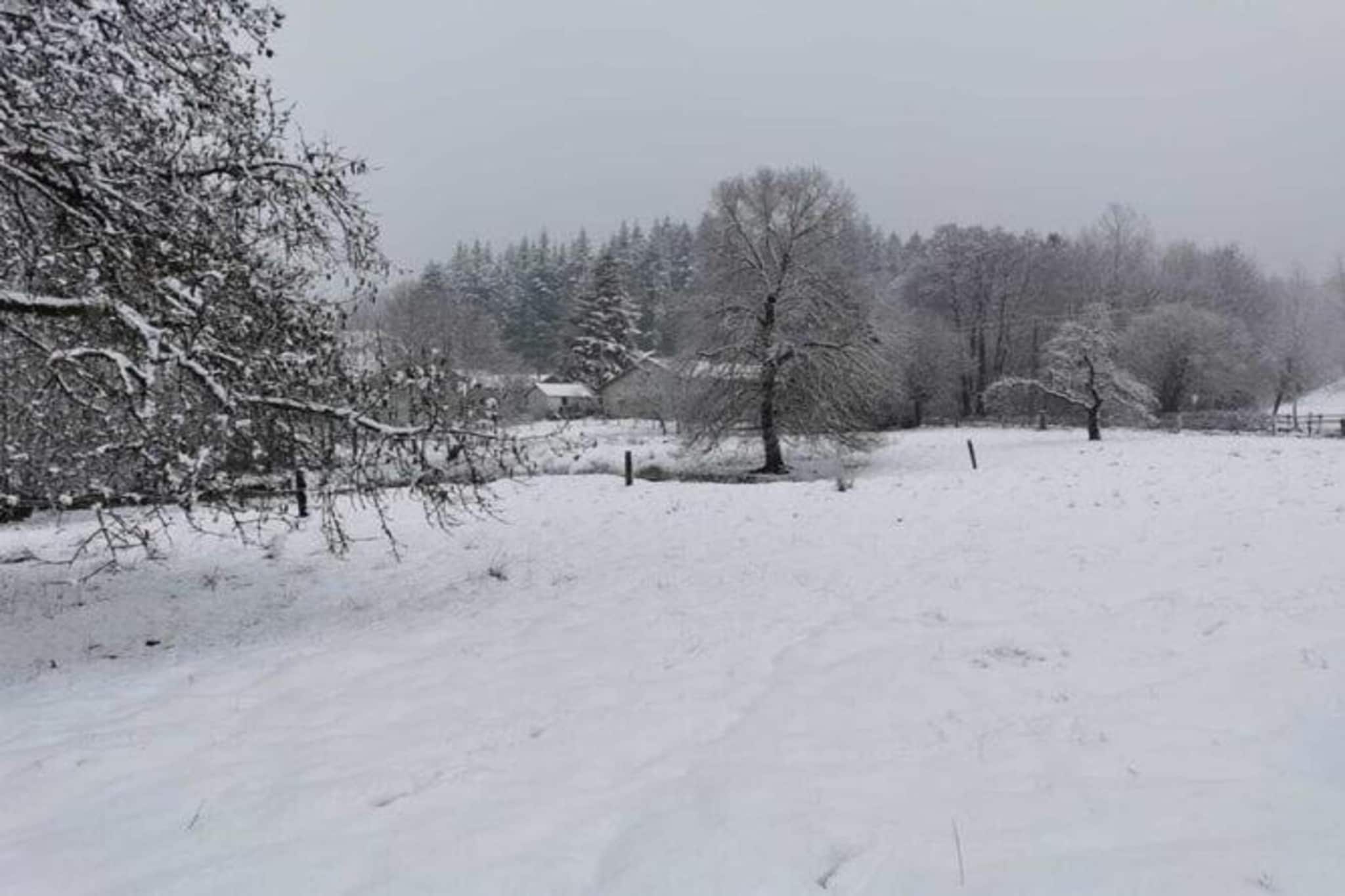 A la lisière de la forêt-Gebied winter 20km