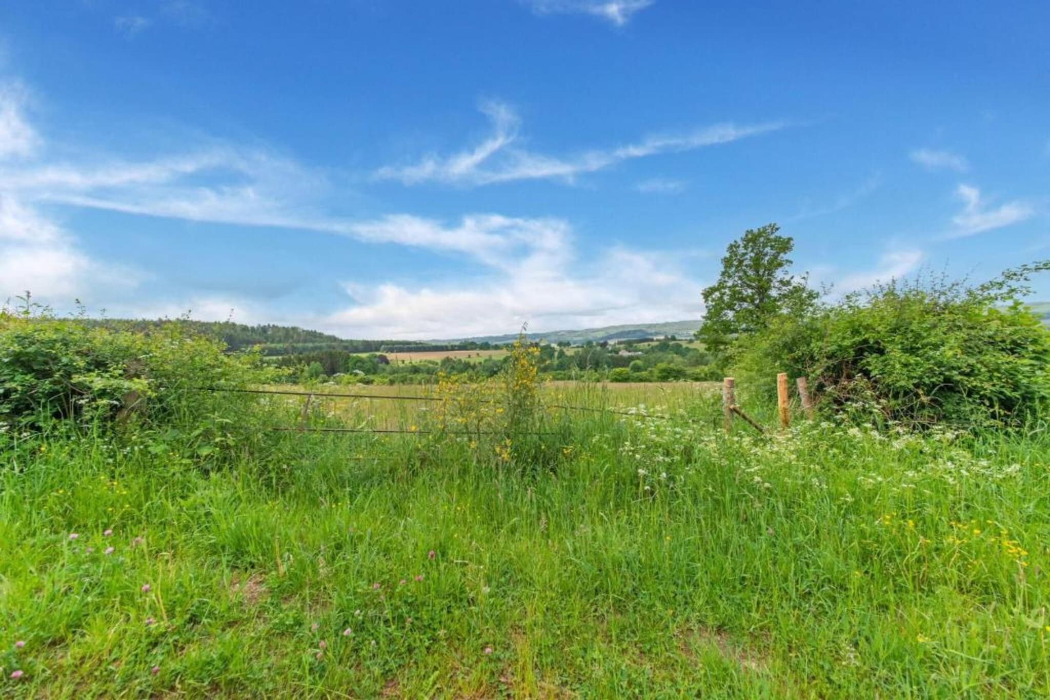 A la lisière de la forêt-Gebieden zomer 20km