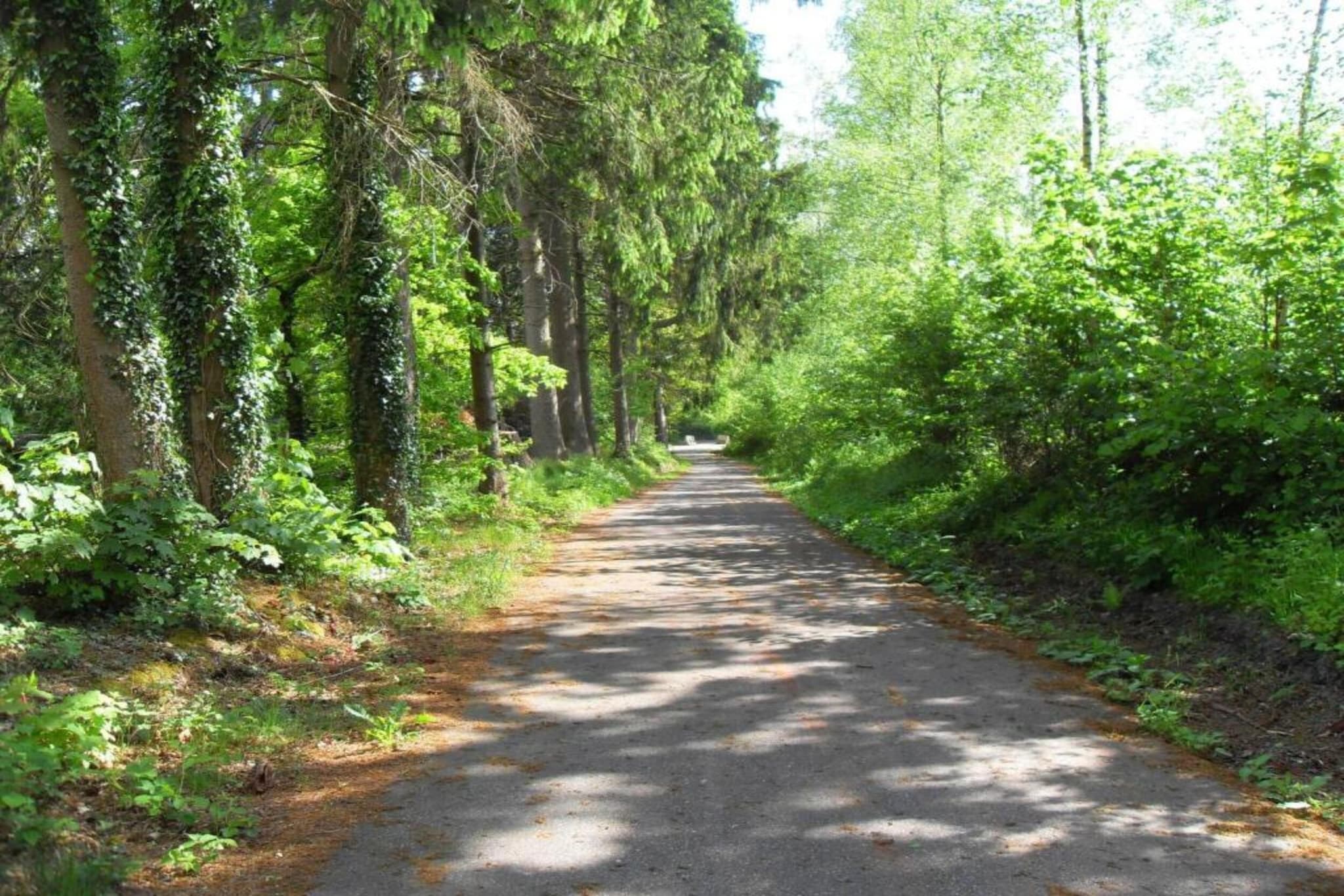 A la lisière de la forêt-Gebieden zomer 20km