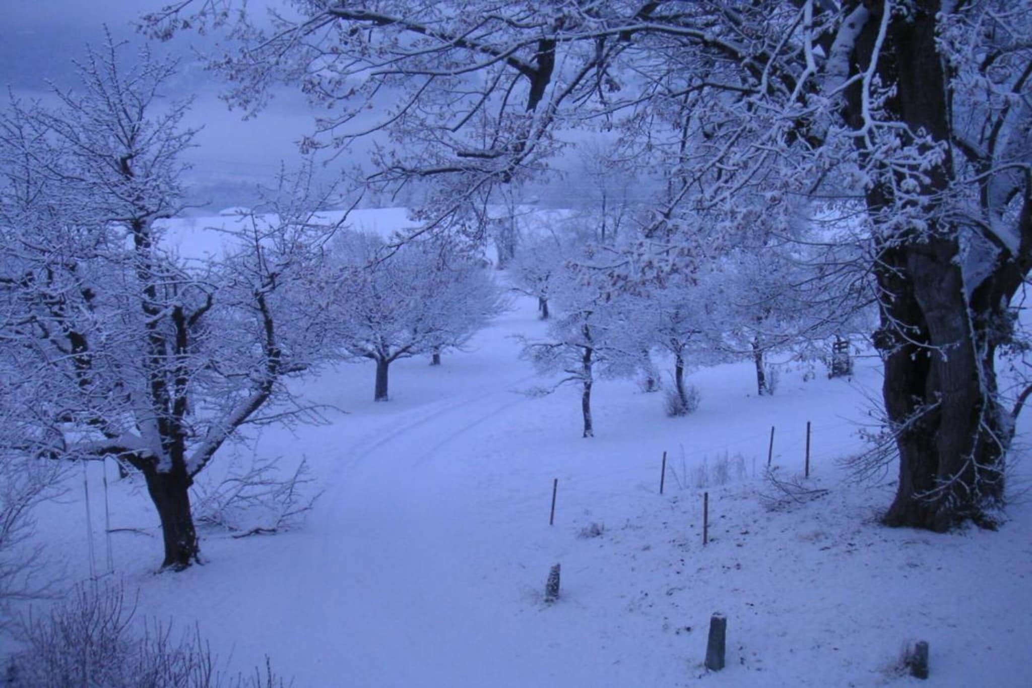 Sonnegg-Gebiet Winter 5 km