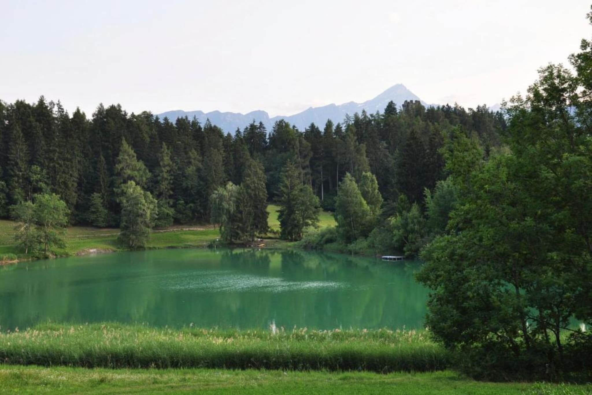 Sonnegg-Gebiete Sommer 5 km