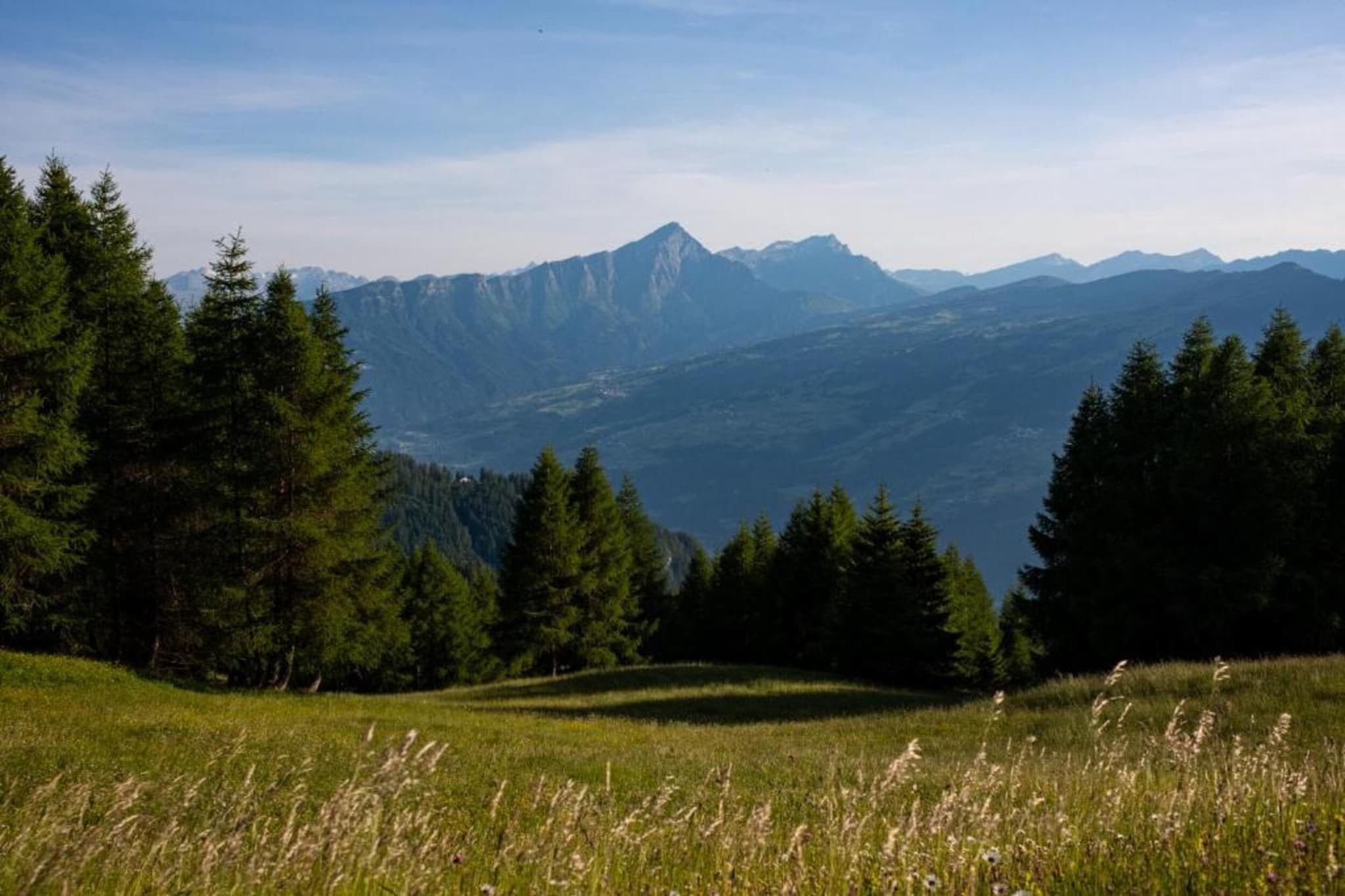 Sonnegg-Gebiete Sommer 5 km