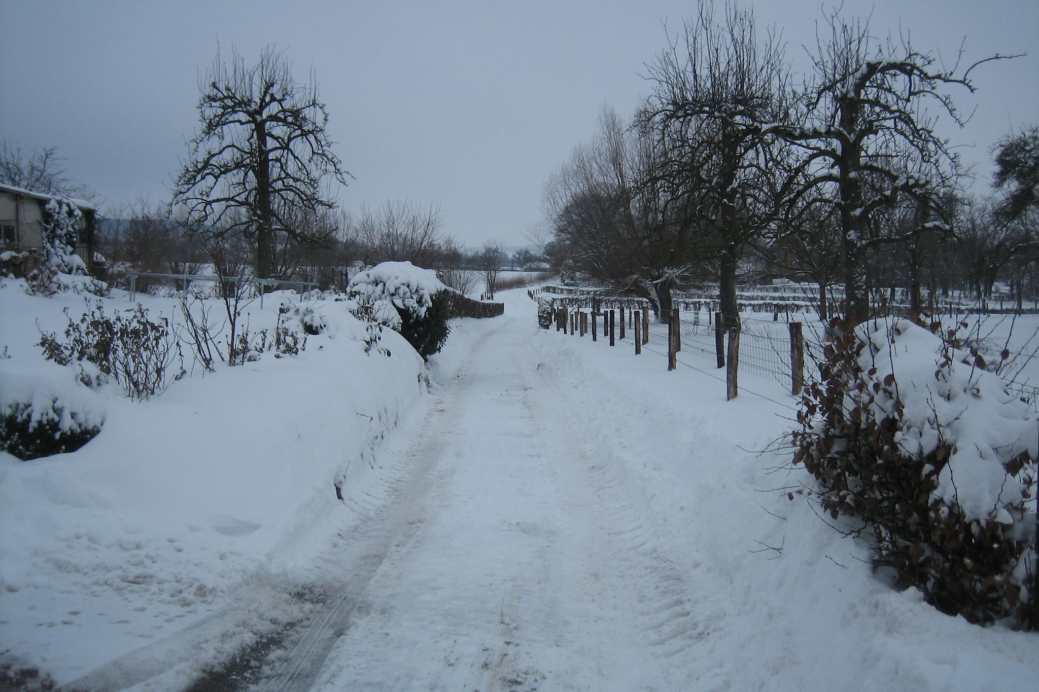 I gen Roemel-Zone d'hiver à 1 km