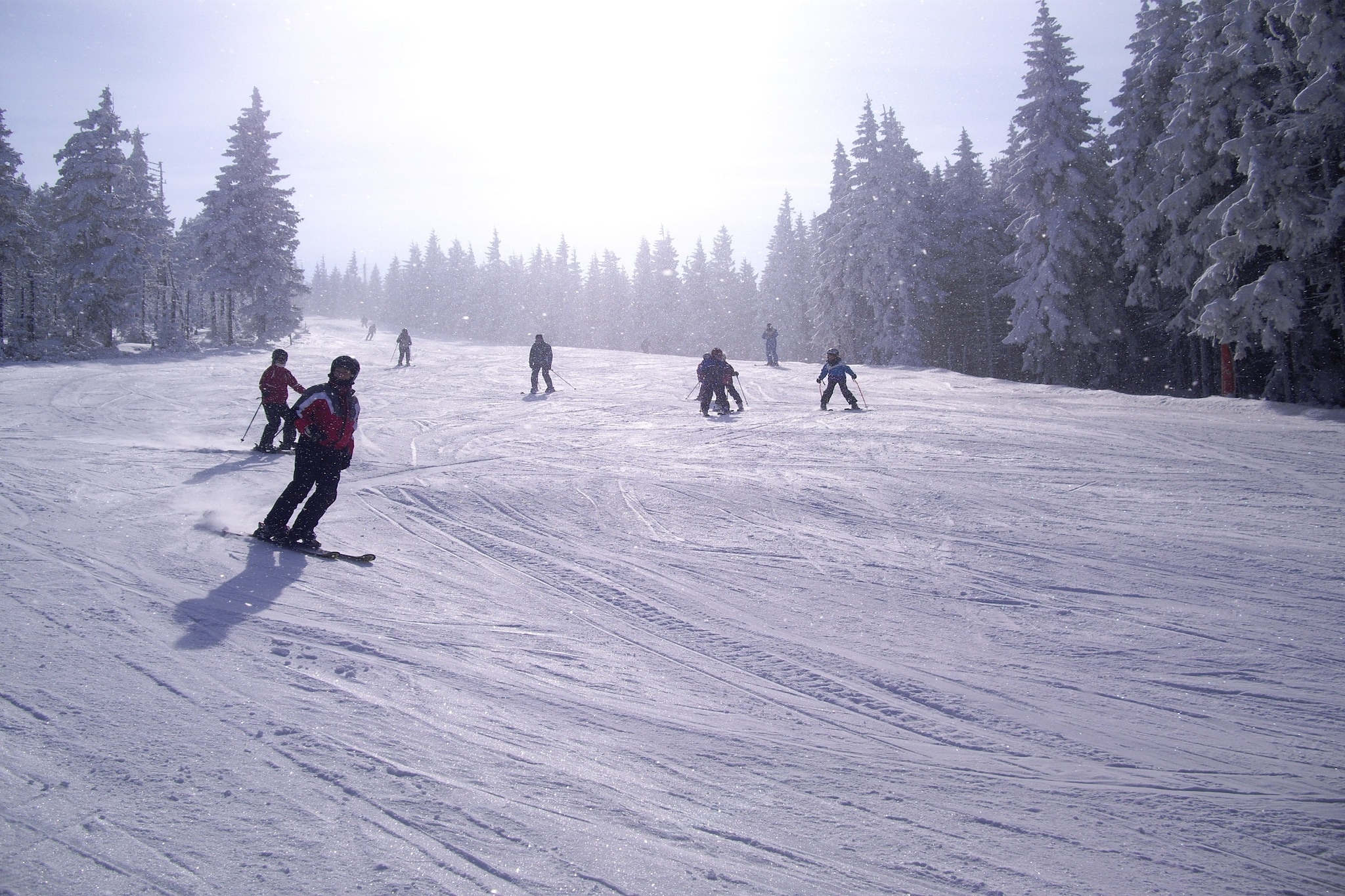 Przesieka-Gebiet Winter 20 km