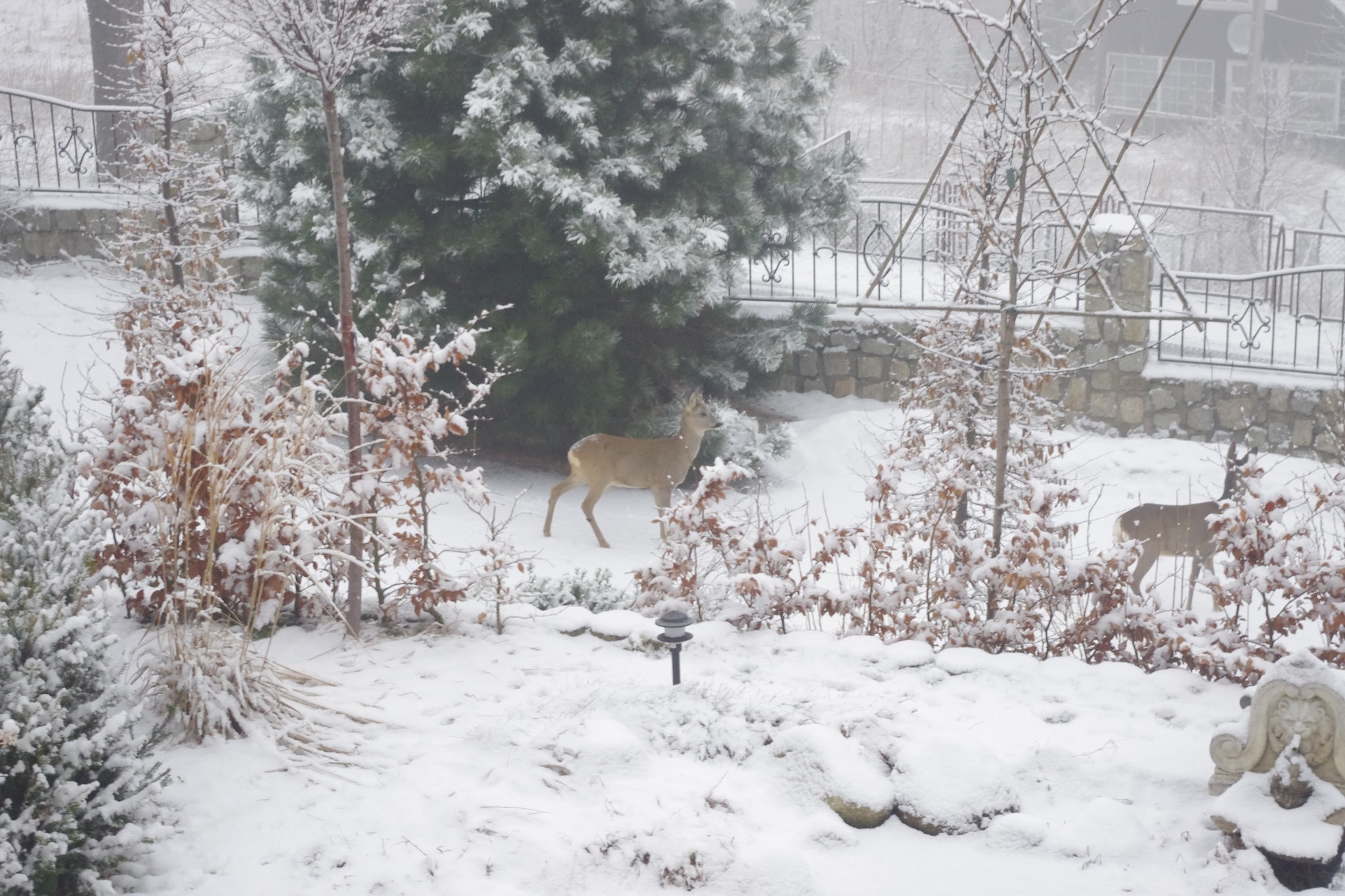 Przesieka-Garten Winter