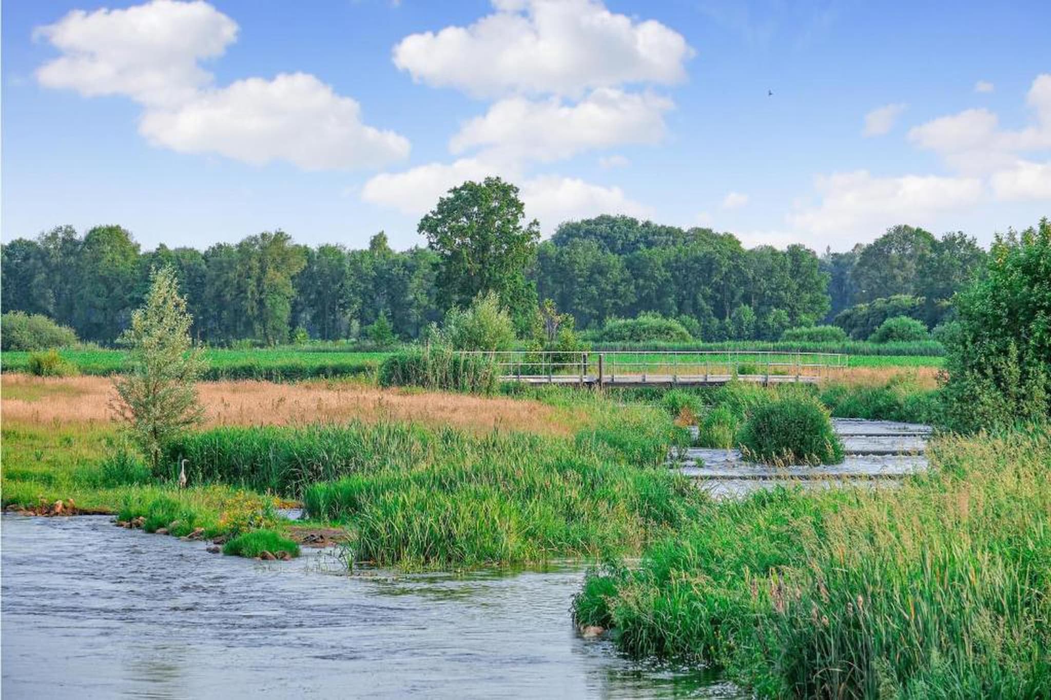 Vakantiepark Horsetellerie 4-Areas summer 20km