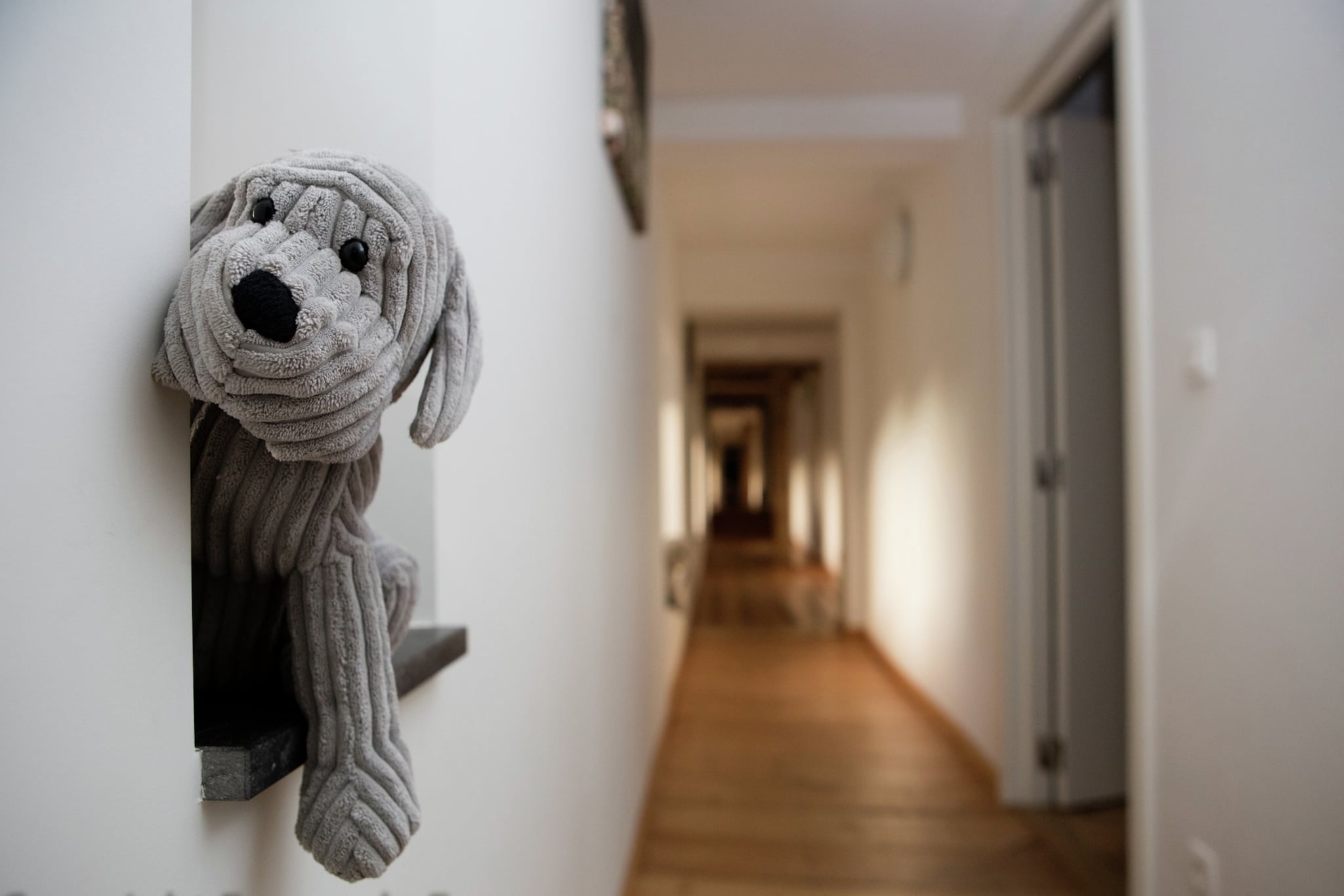 Vakantiehuis Beuzet max. 18 personen 8 slaapkamers sauna #5