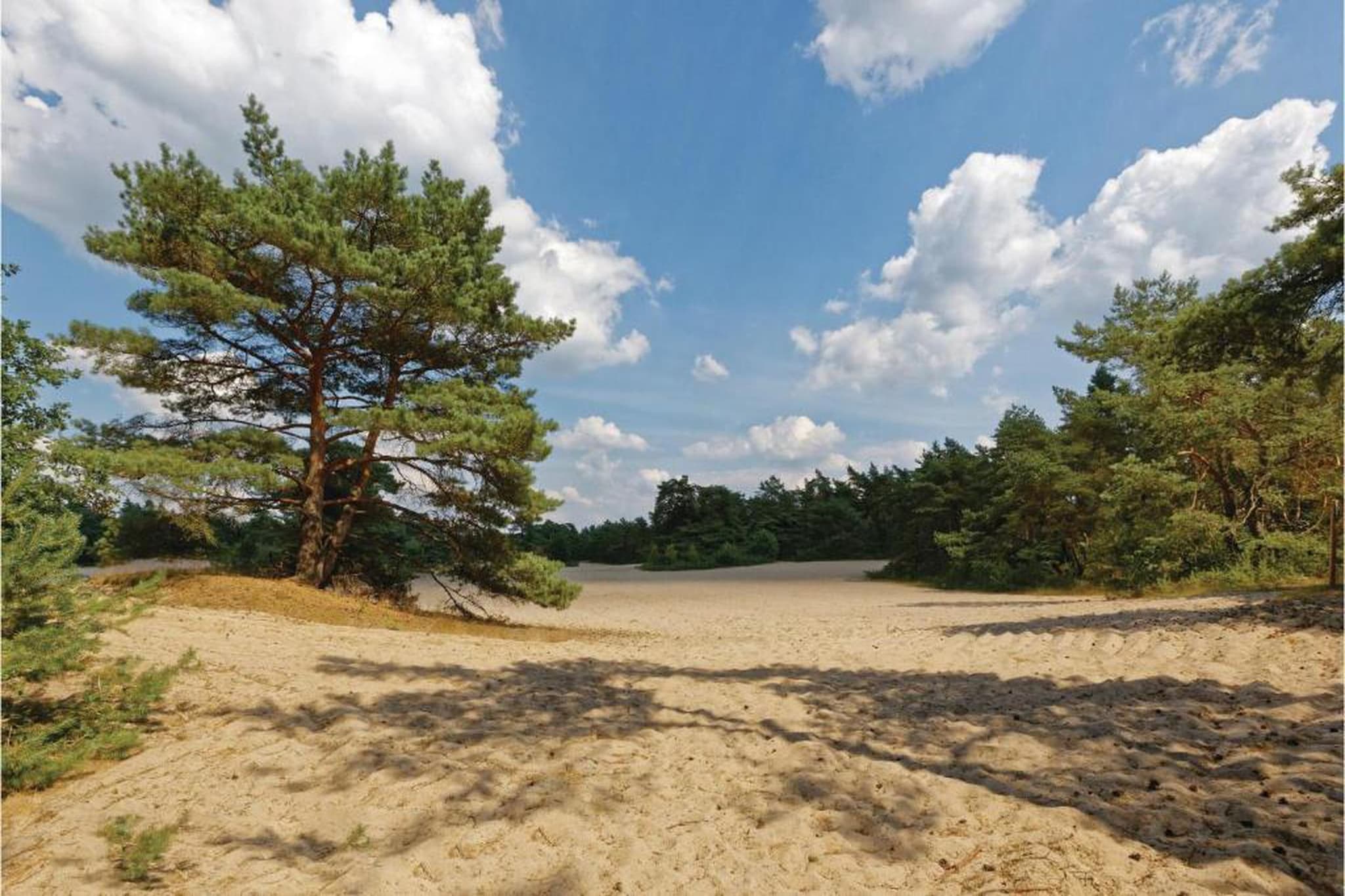Vakantiepark Horsetellerie 7-Areas summer 20km