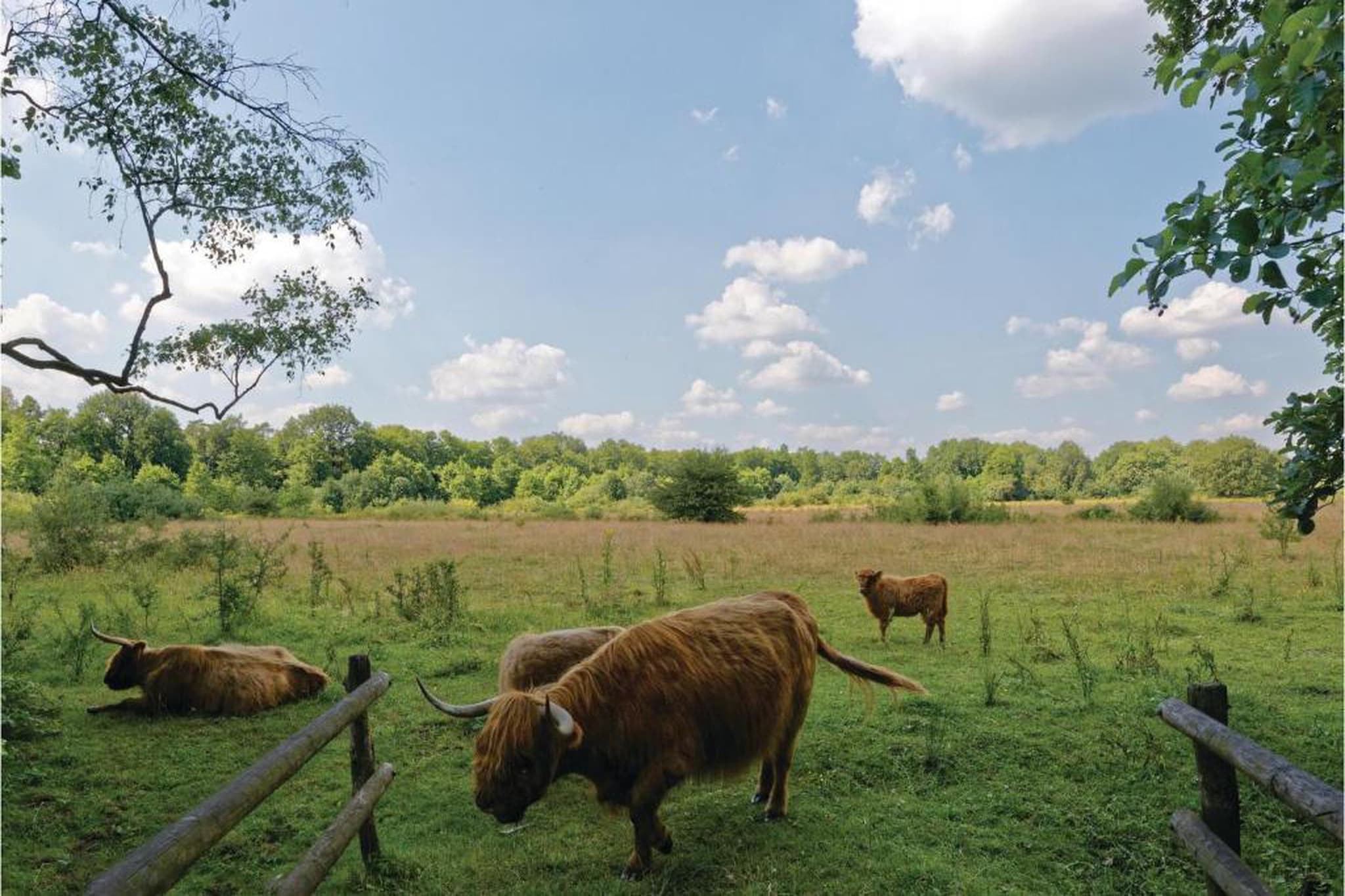 Vakantiepark Horsetellerie 7-Areas summer 20km
