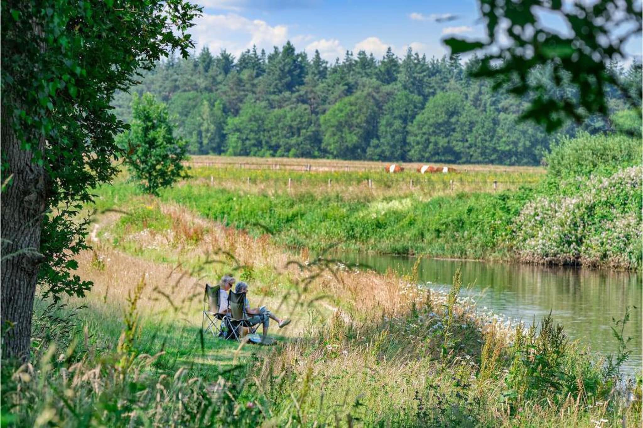 Vakantiepark Horsetellerie 7-Areas summer 20km