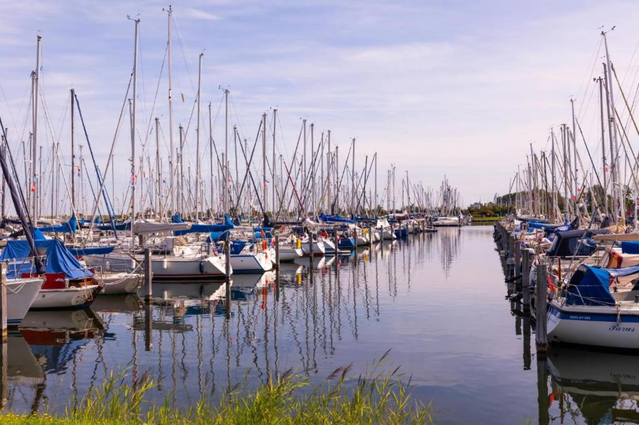 Aquadelta 9-Areas summer 20km