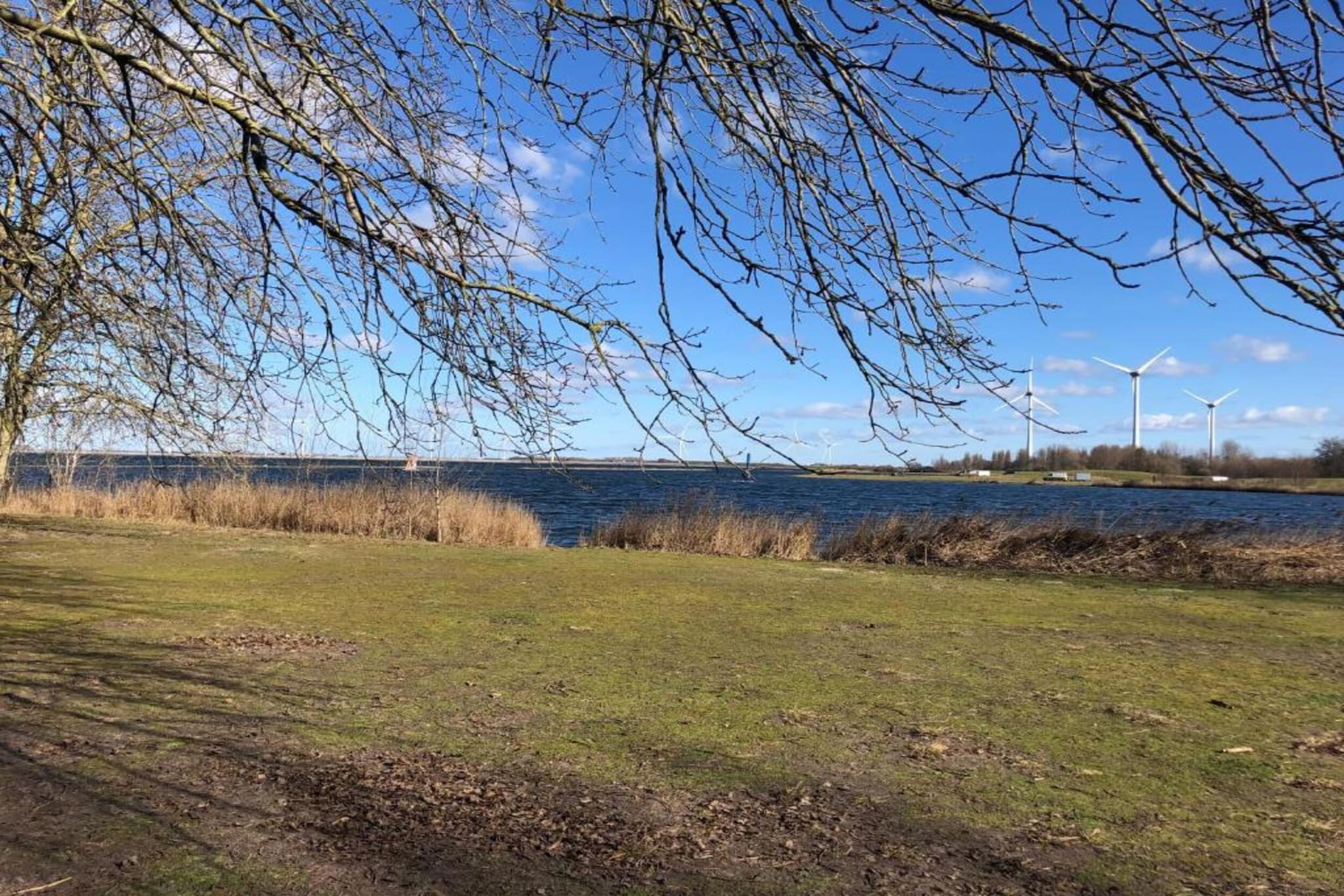 Aquadelta 9-Areas summer 20km