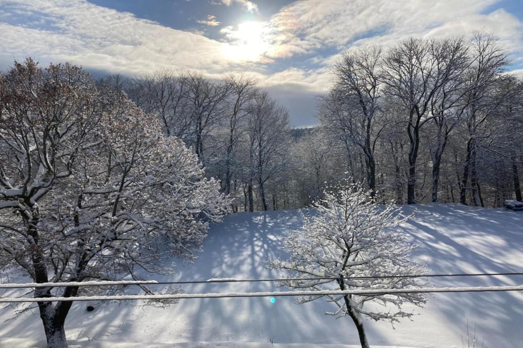 Altenfeld-Gebied winter 5km