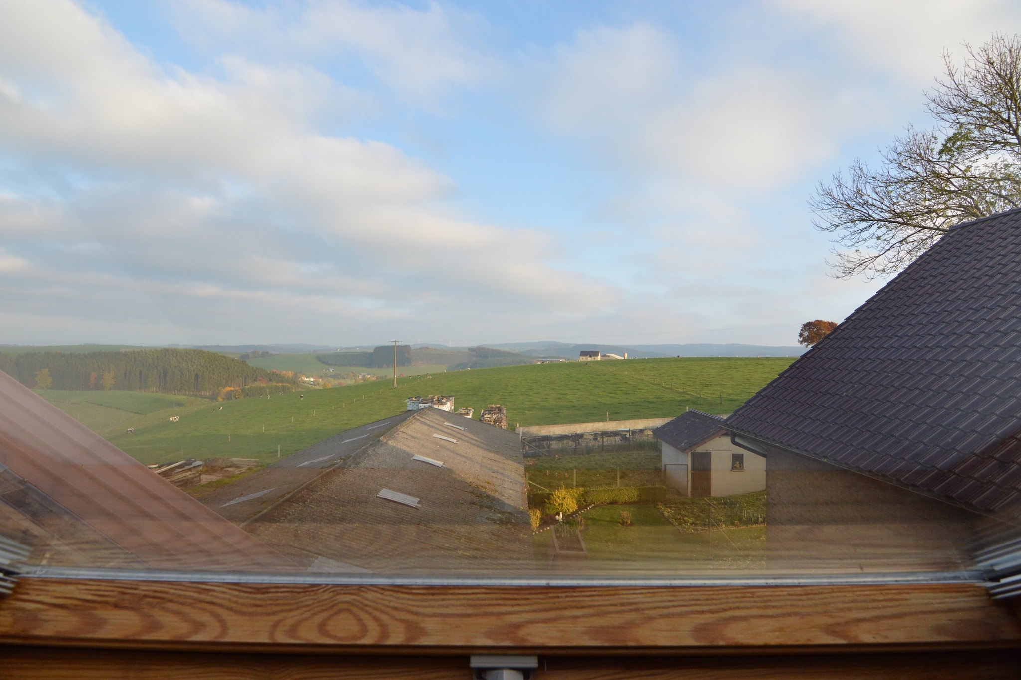 Comfortable apartment in Burg-Reuland with shared terrace