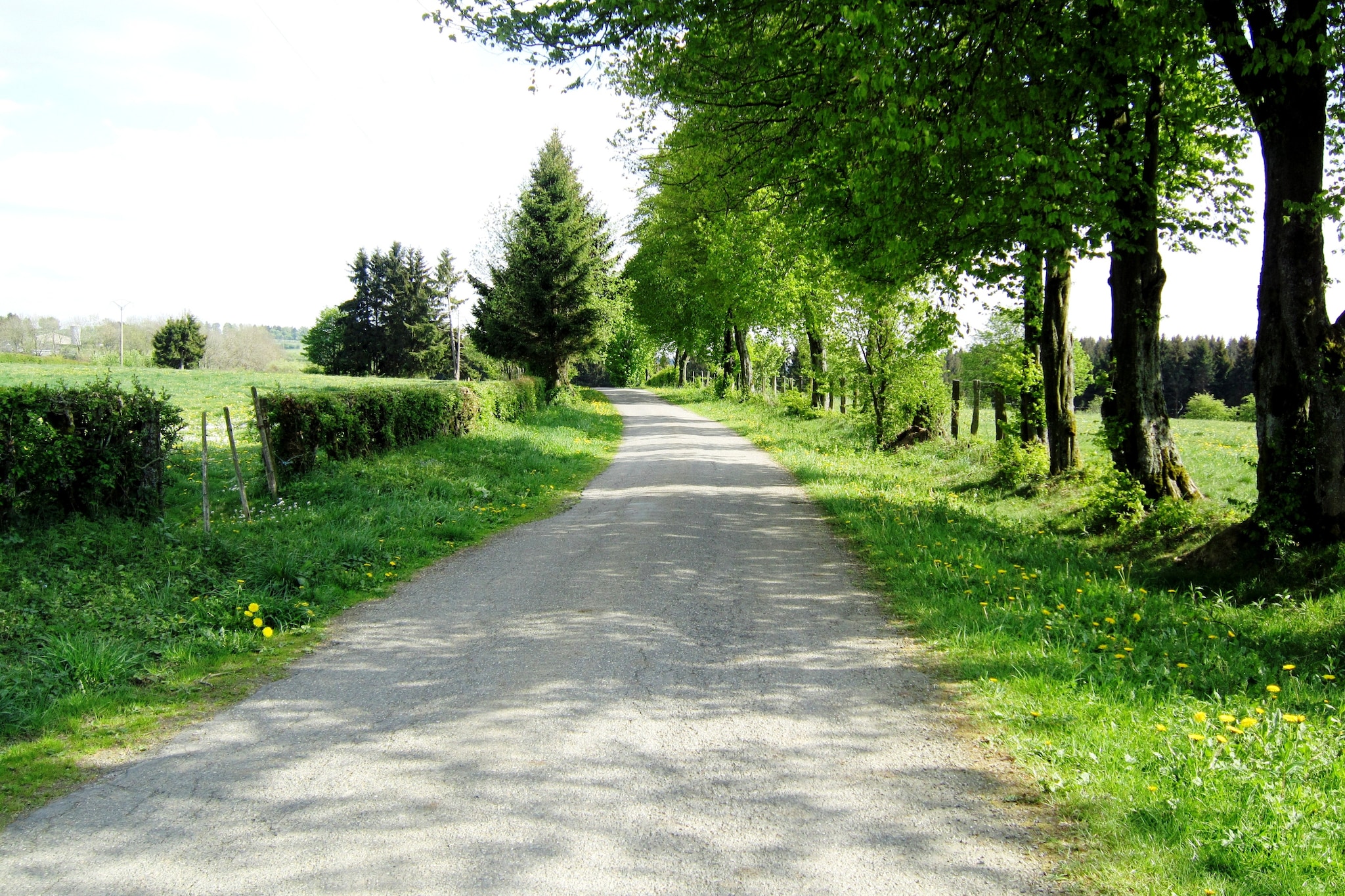Chalet Orange-Gebieden zomer 1km