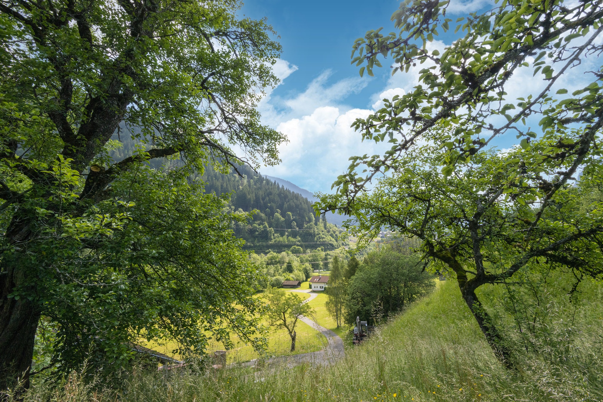 View Summer