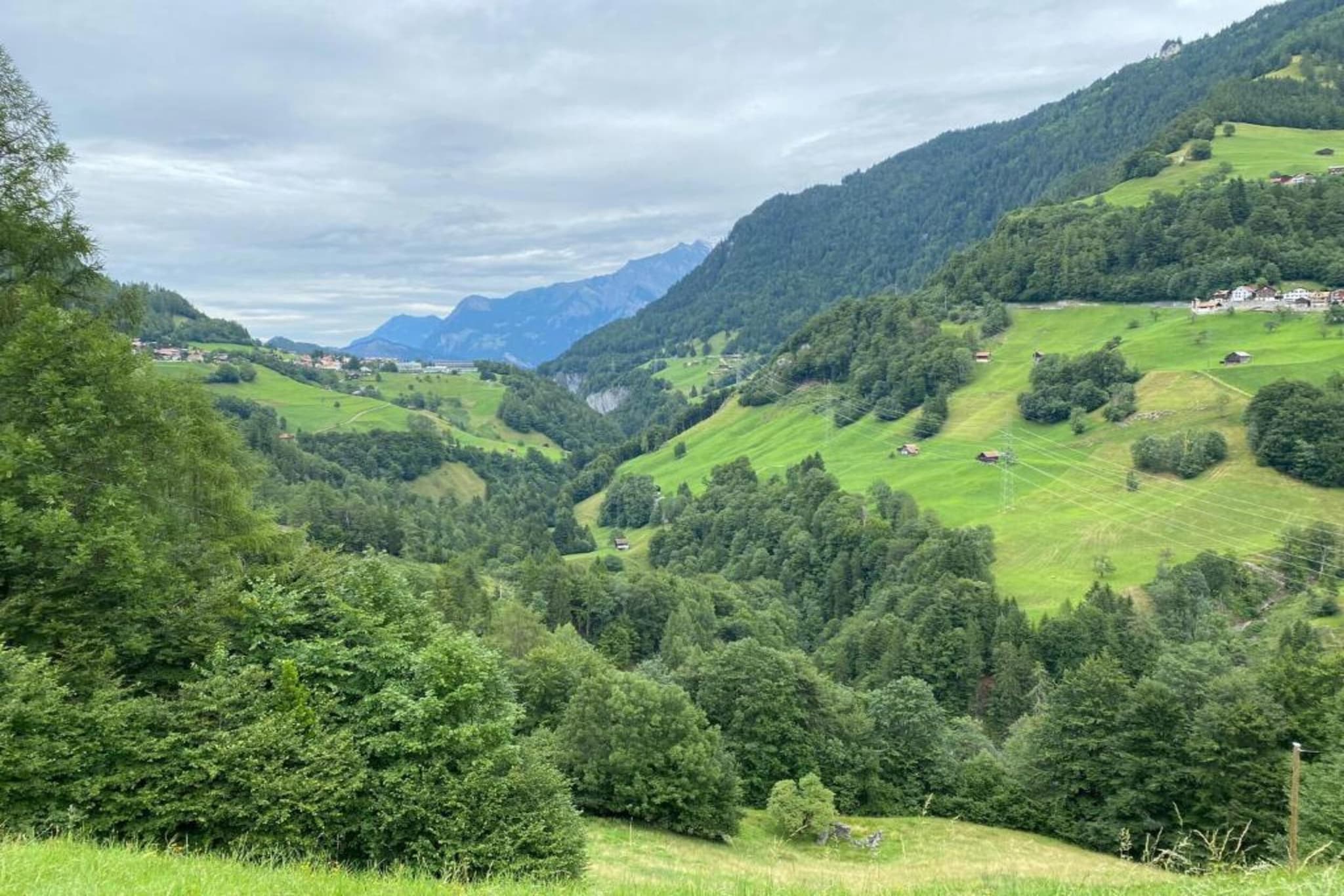 Haus Lerch-Gebiete Sommer 5 km