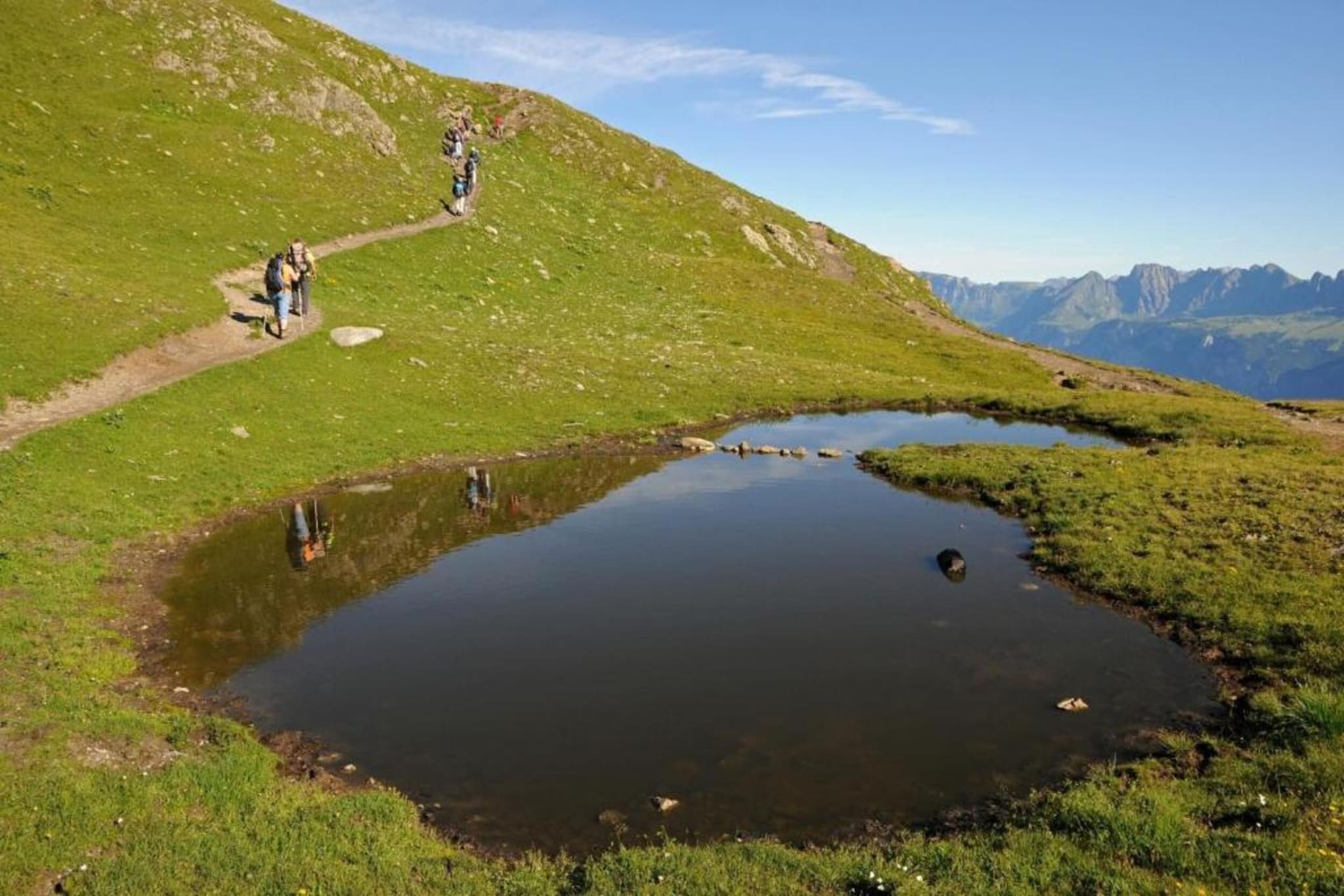 Haus Lerch-Gebiete Sommer 5 km